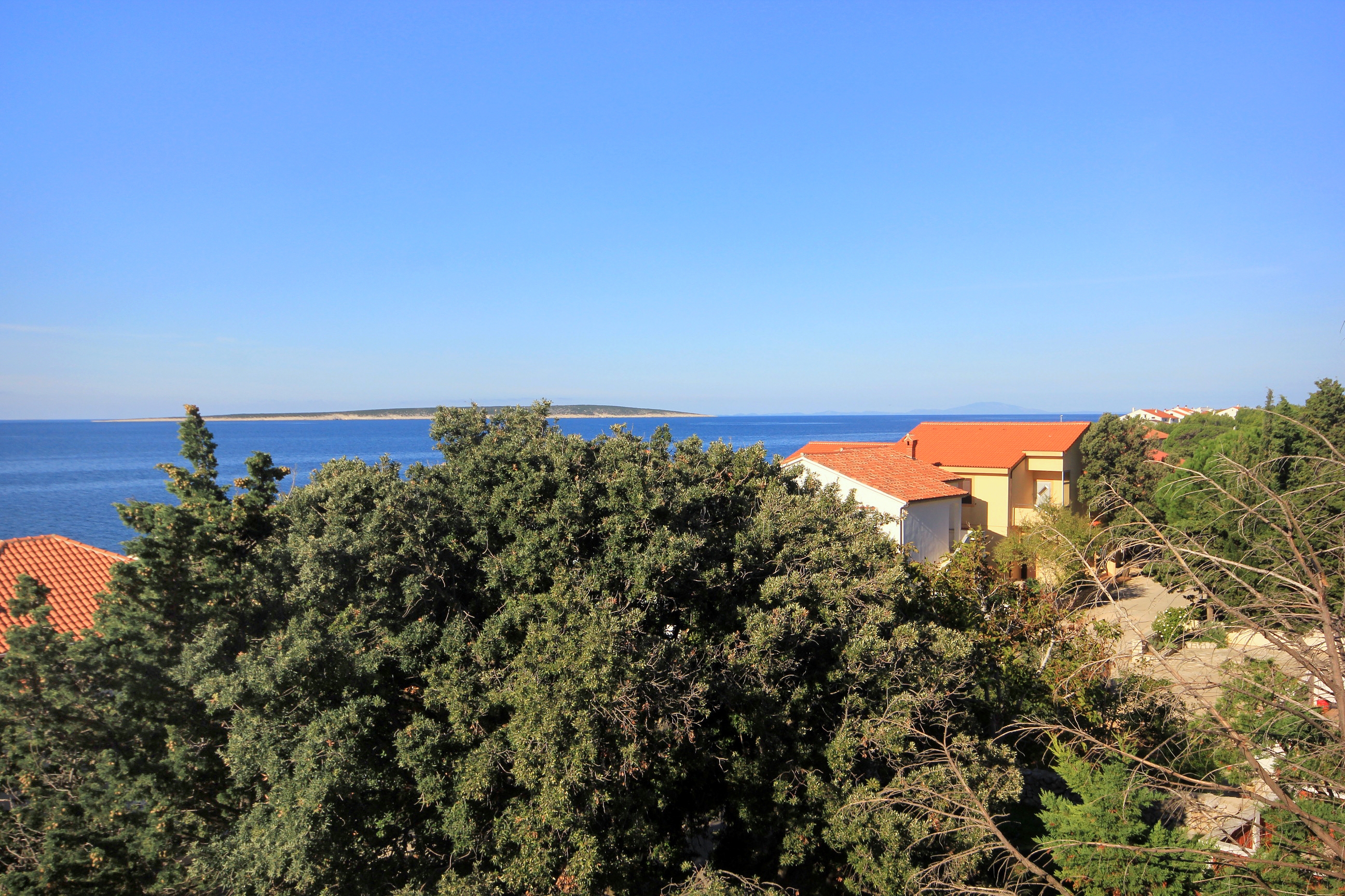 Studio flat with terrace and sea view Mandre, Pag  AS-a