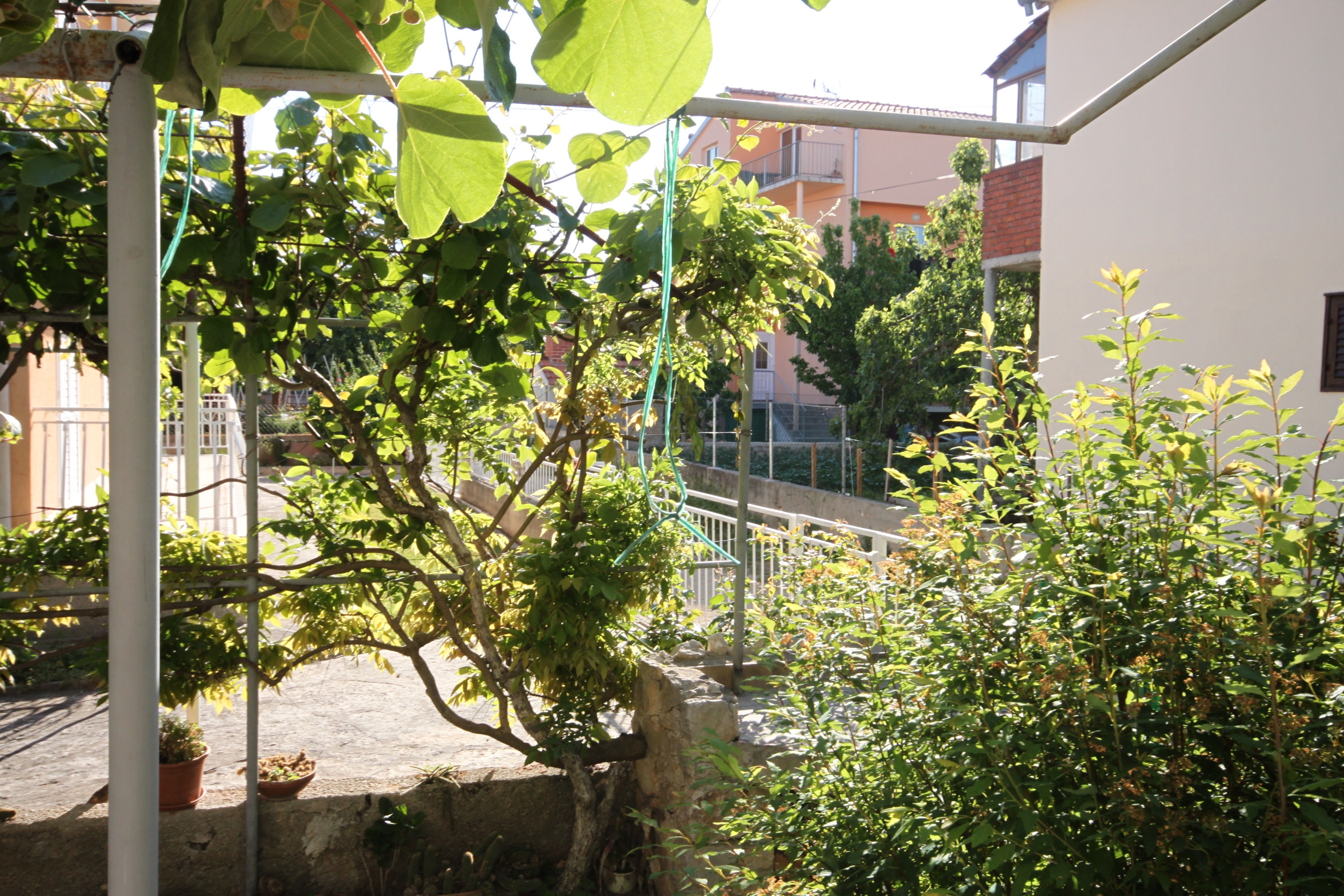 Top Biograd Biograd na Moru Top Biograd Biograd na Moru