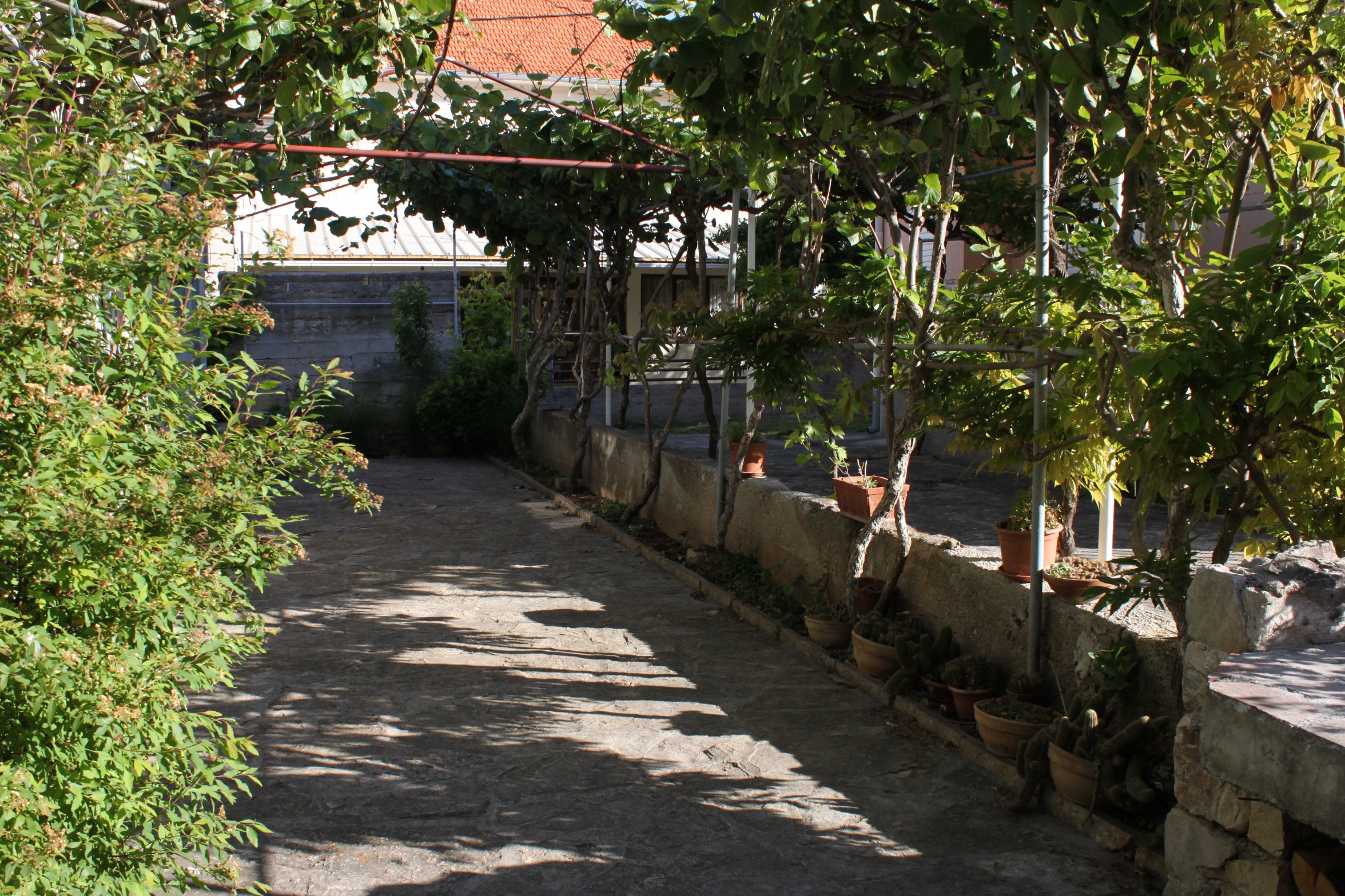 Jednosobni apartman s terasom Biograd na Moru, Biograd  A-a