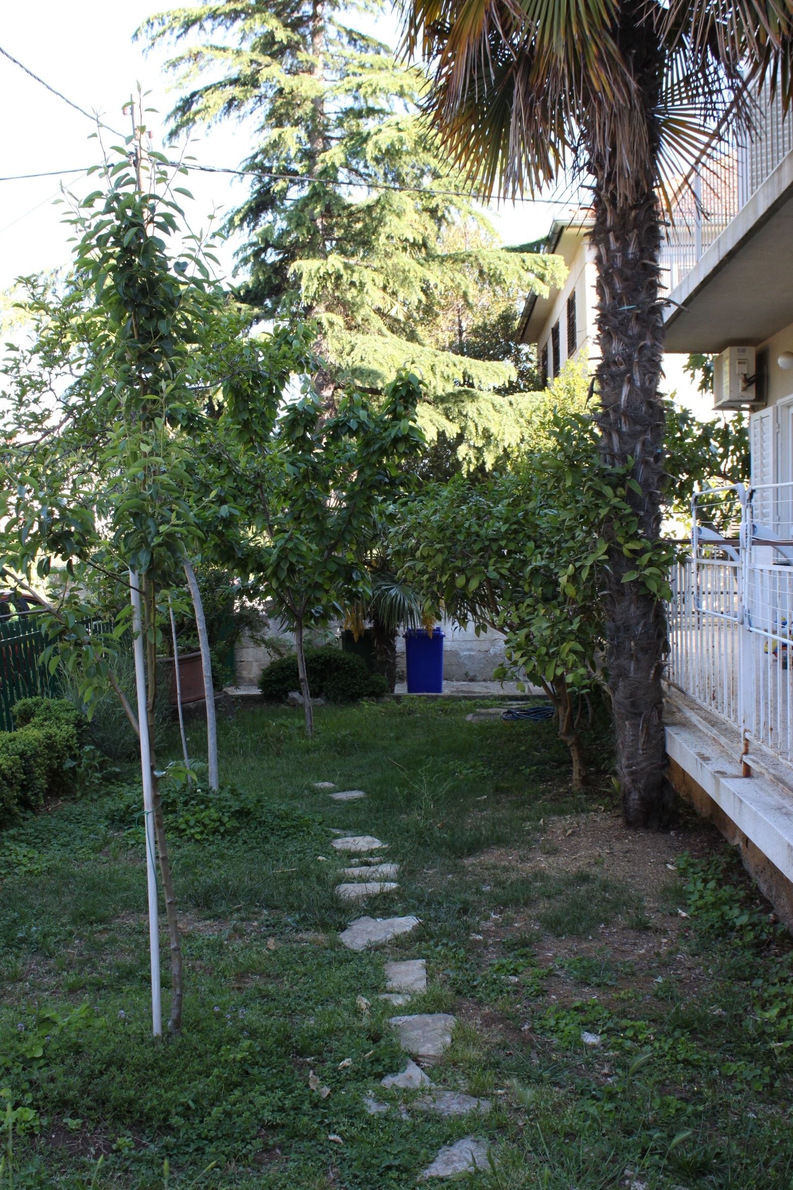 Jednosobni apartman s terasom Biograd na Moru, Biograd  A-a