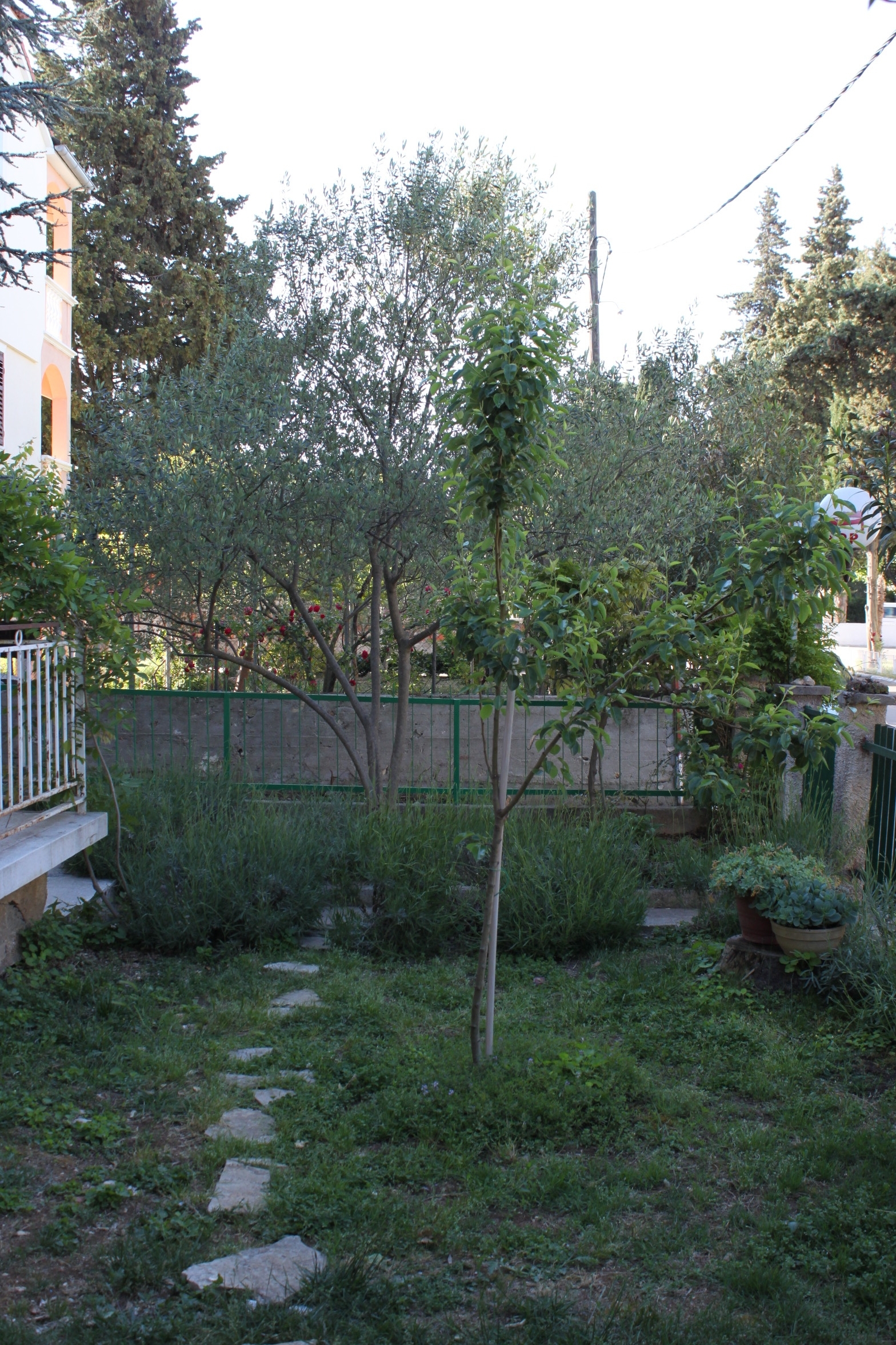 Jednosobni apartman s terasom Biograd na Moru, Biograd  A-a