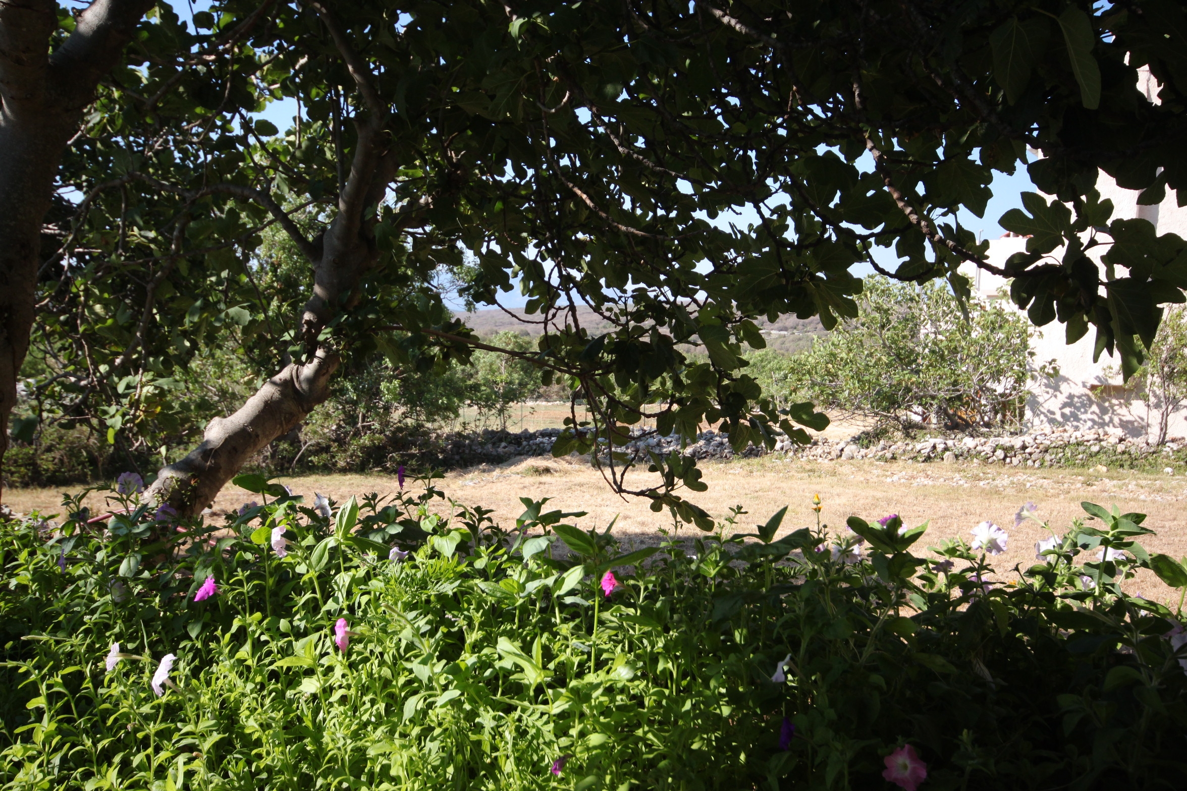 Two bedroom apartment with terrace Stivan, Cres  A-c