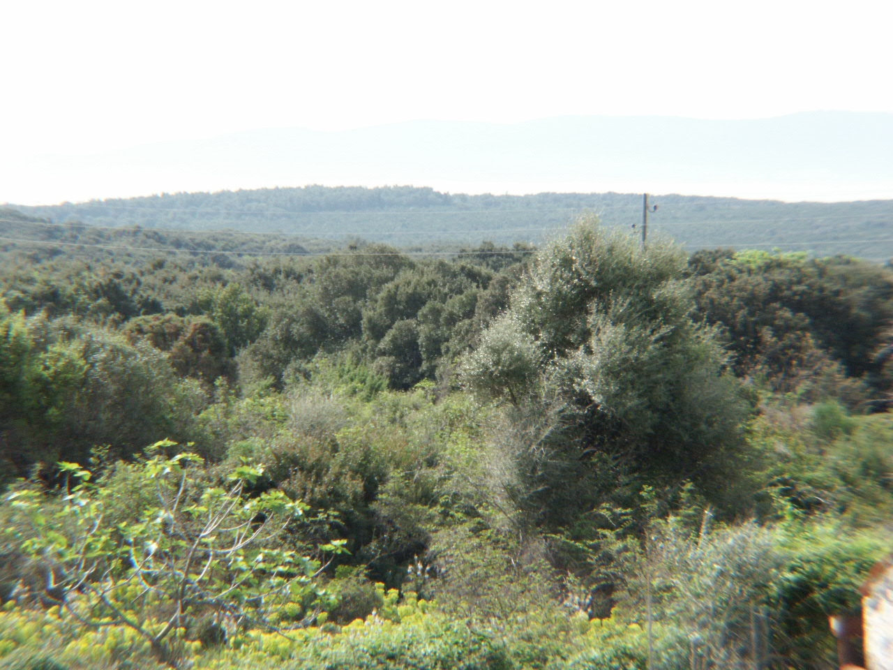 One bedroom apartment with balcony and sea view Punta križa, Cres  A-a