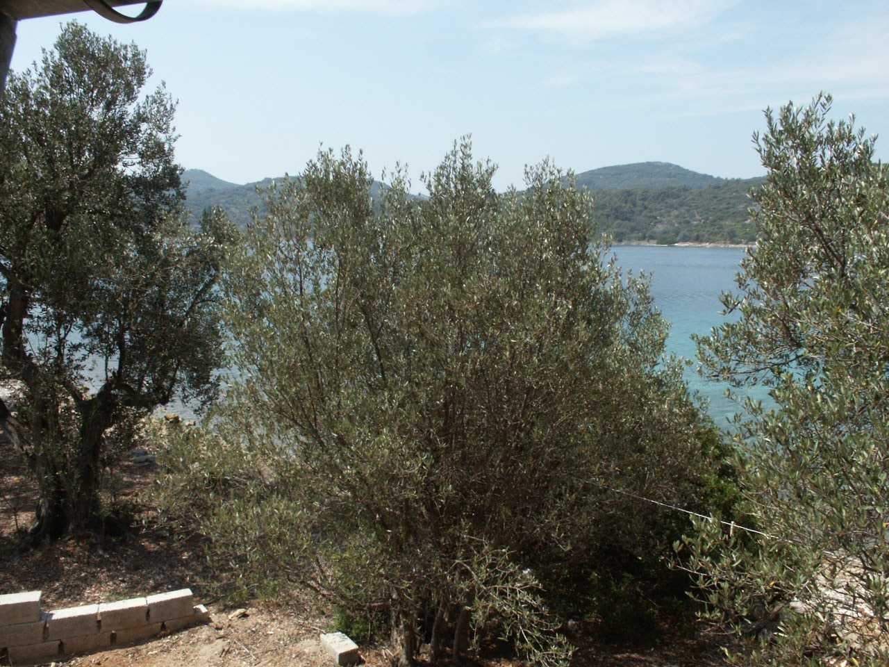 Two bedroom house near beach Krknata, Dugi otok  K