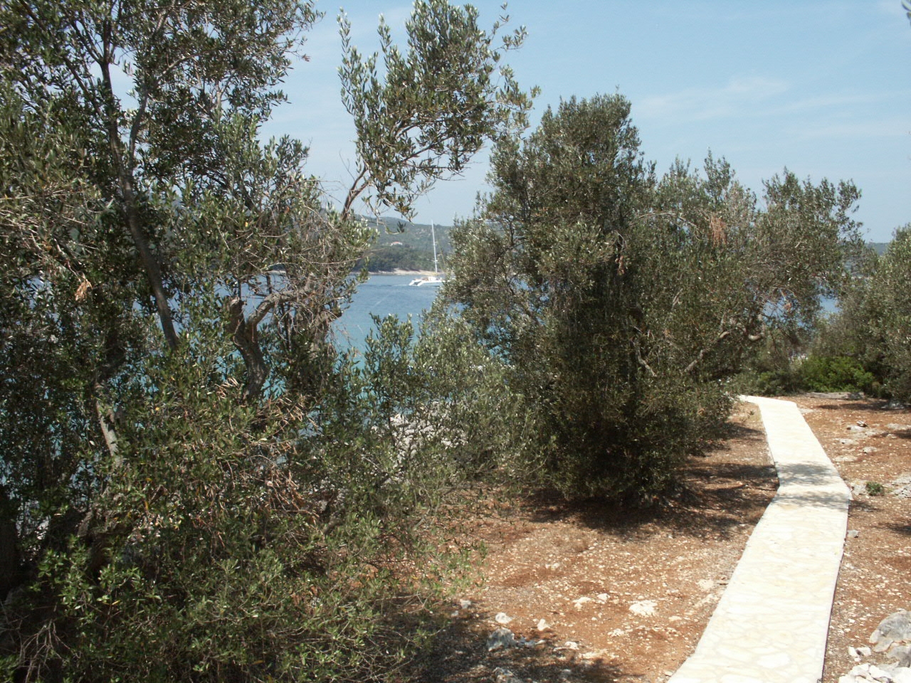 Two bedroom house near beach Krknata, Dugi otok  K