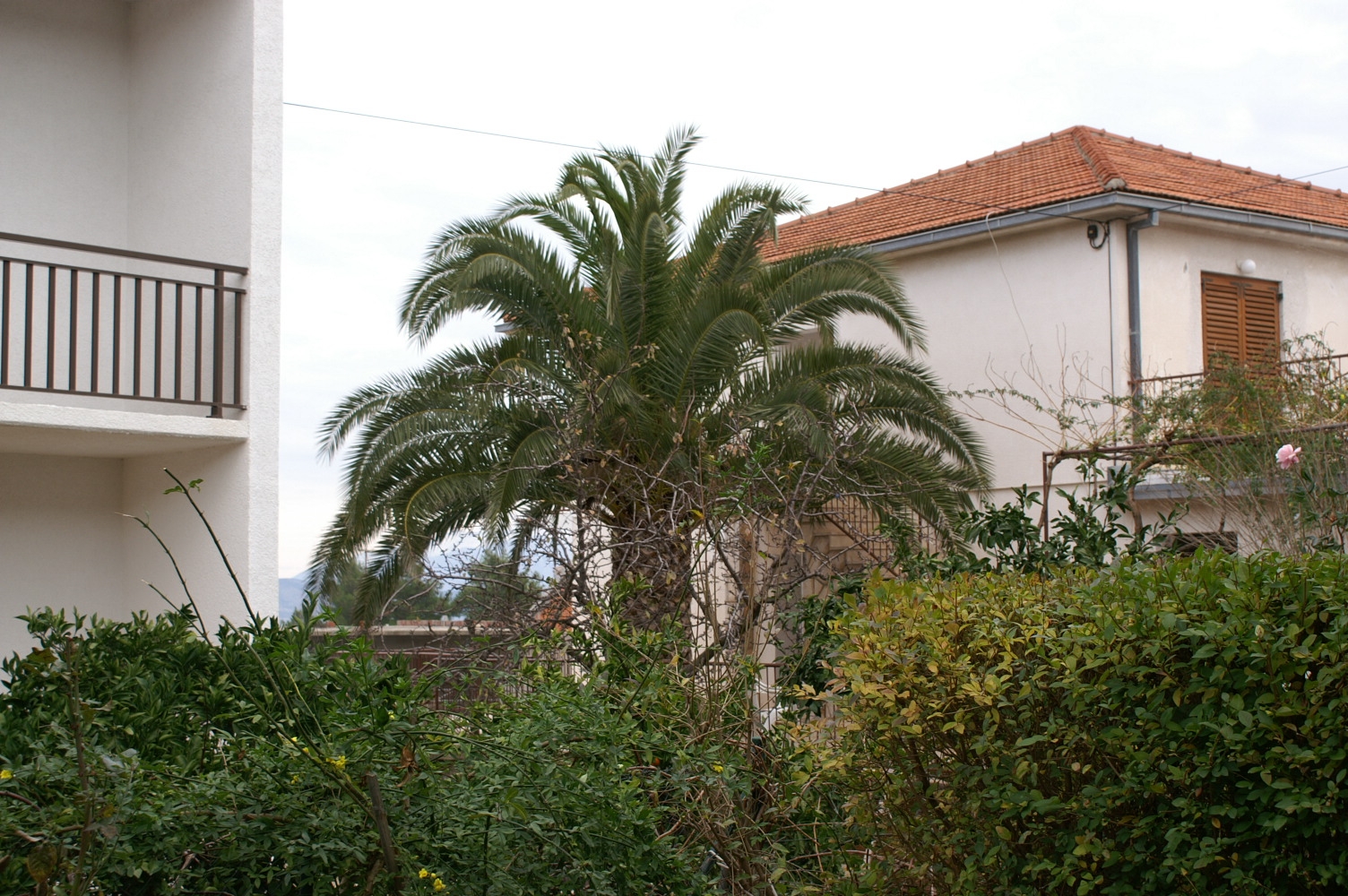 Two bedroom apartment with terrace Jelsa, Hvar  A-a