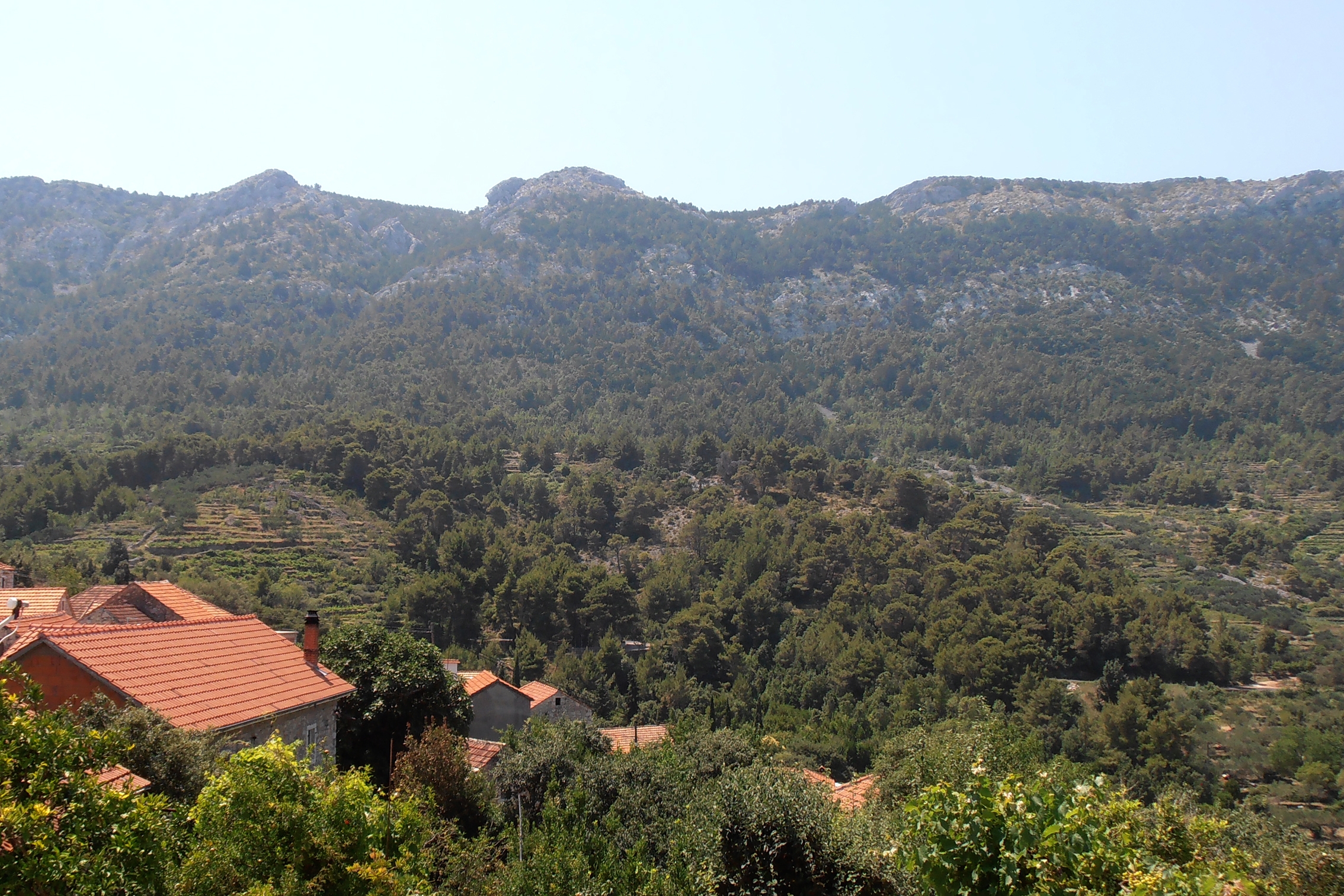 Two bedroom apartment with terrace Vrisnik, Hvar  A-a