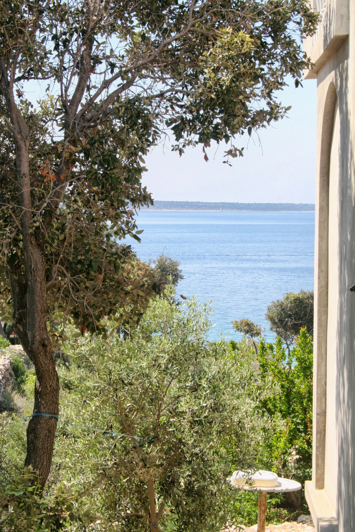 Top Pag Mandre Top Pag Mandre