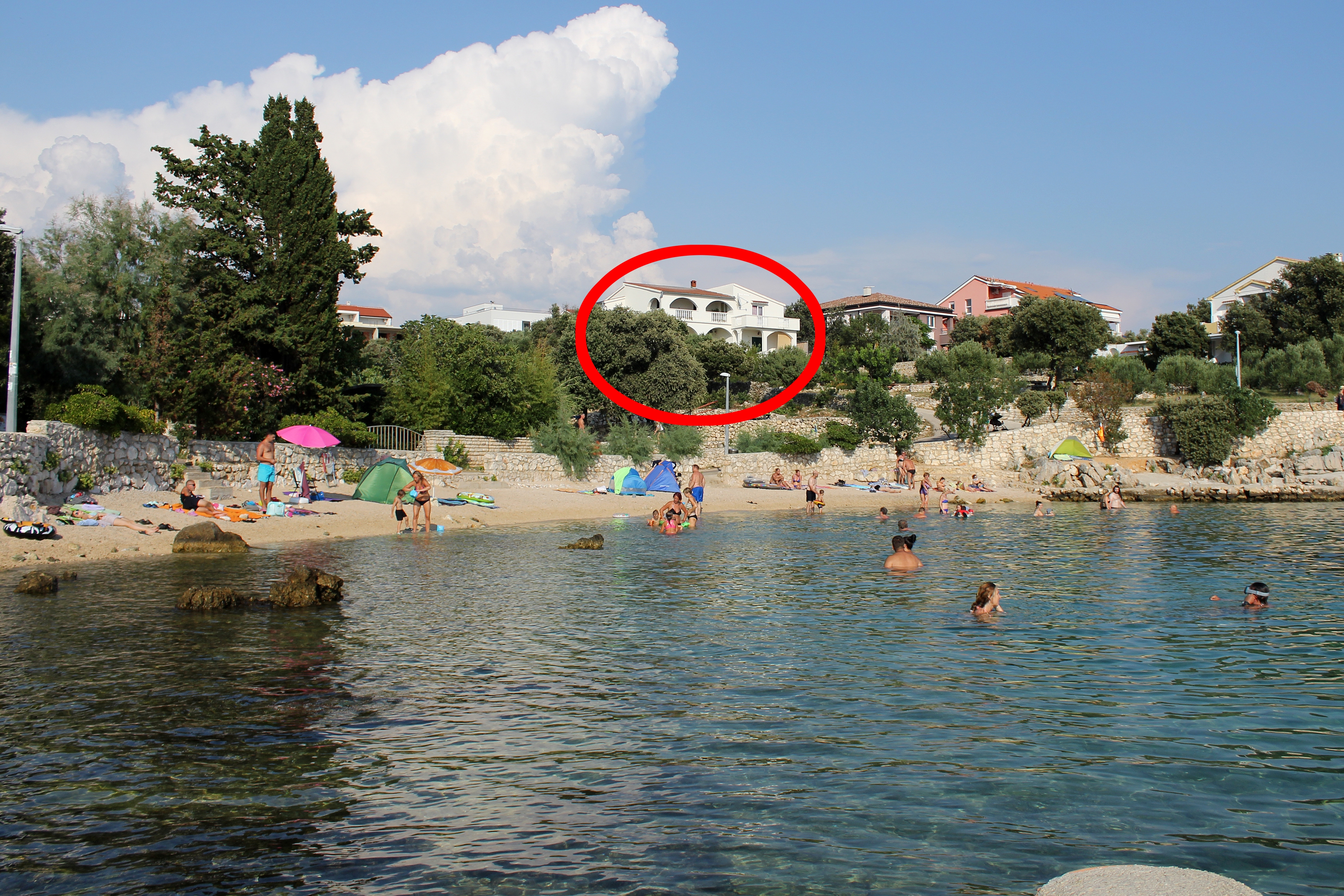 Top Pag Mandre Top Pag Mandre