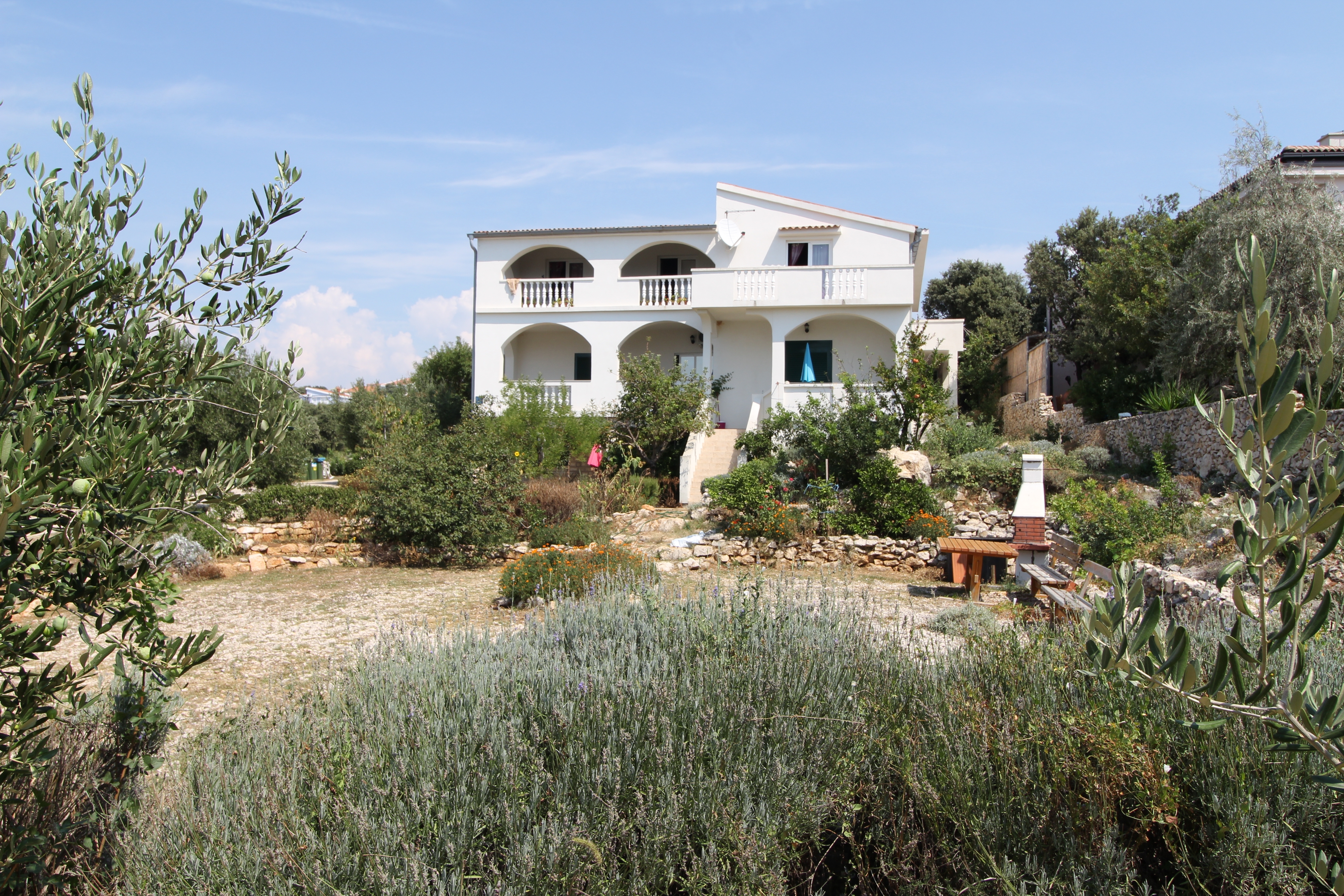 Top Pag Mandre Top Pag Mandre