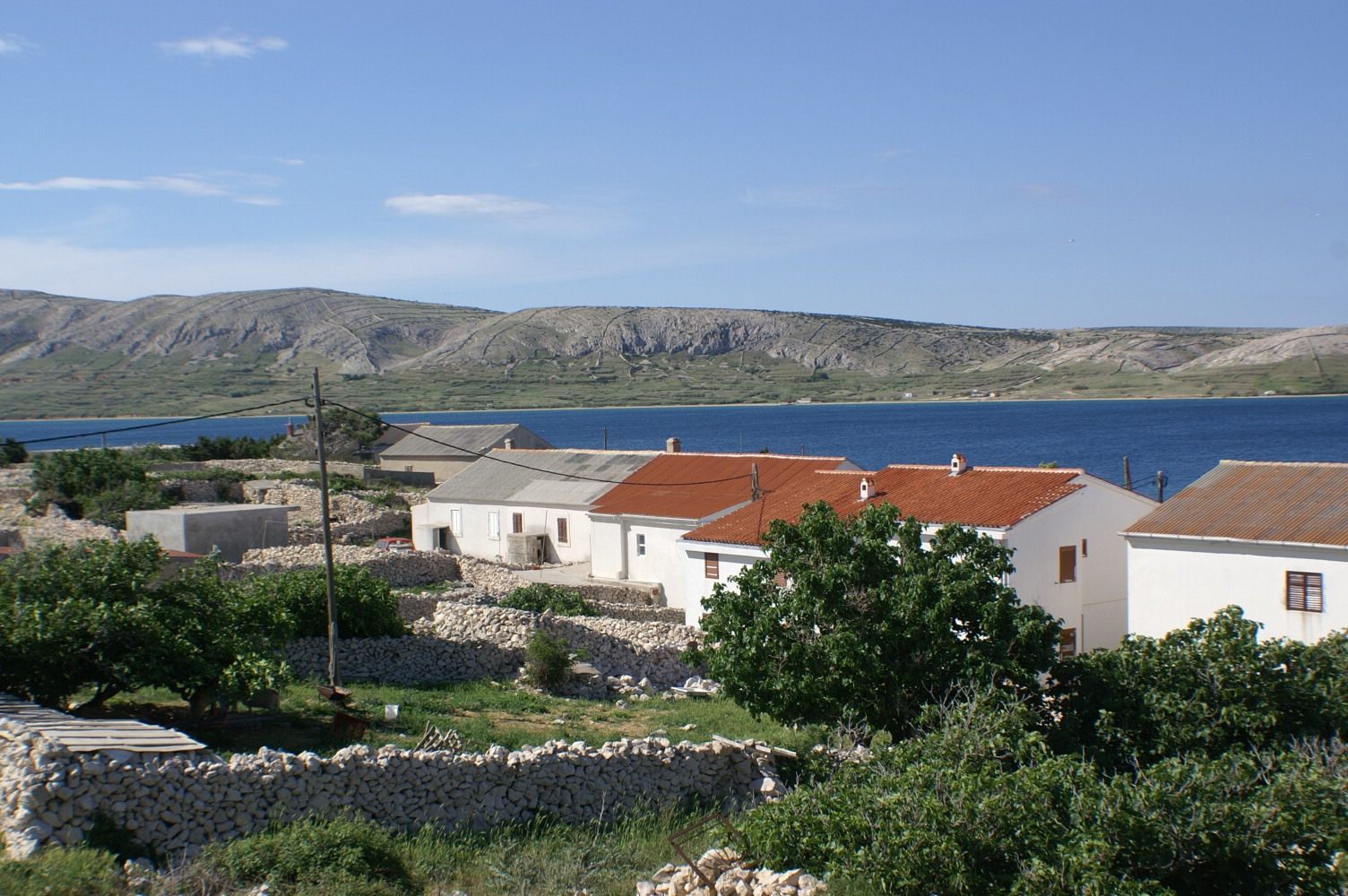 Top Pag Kustići Top Pag Kustići