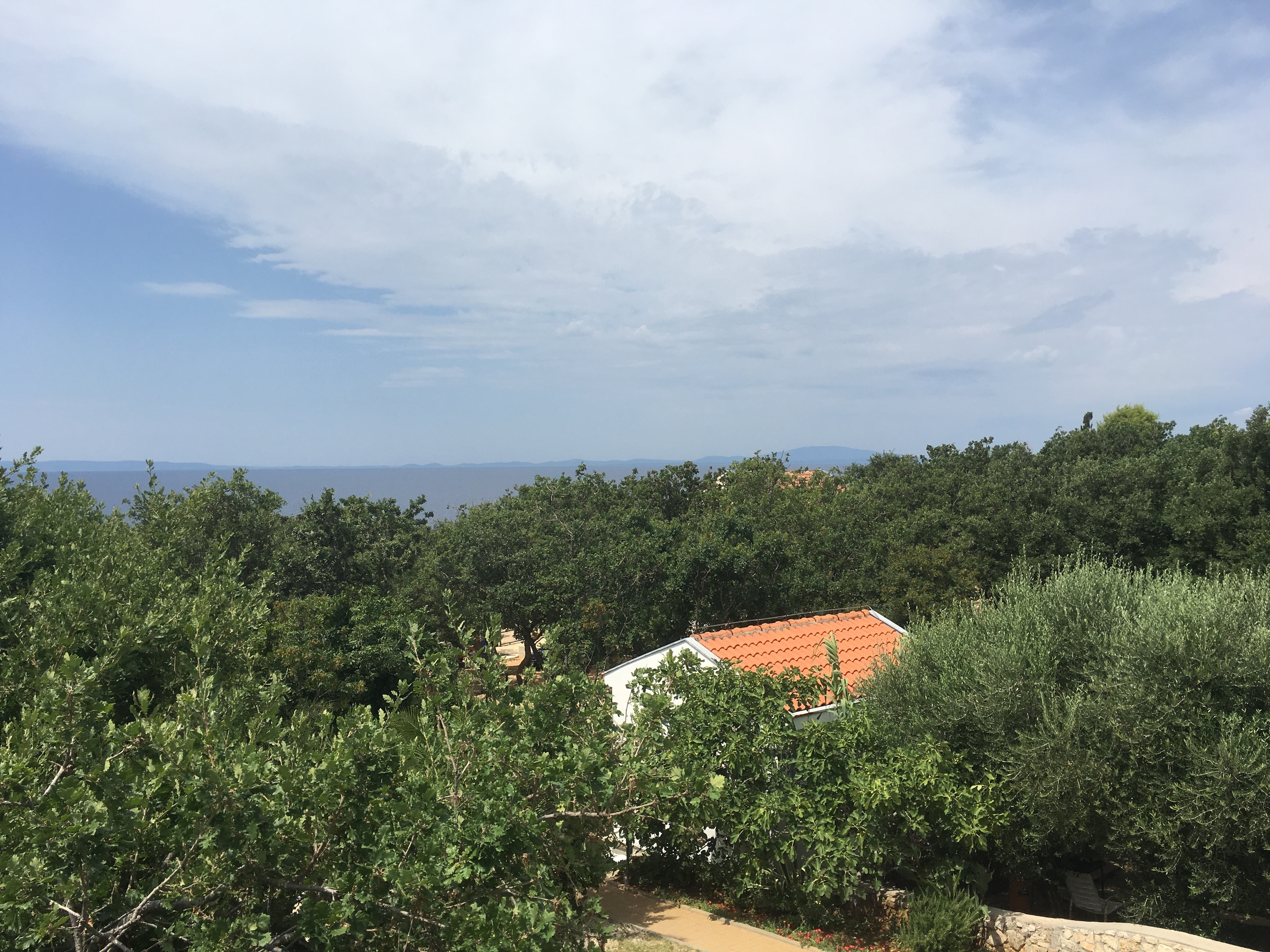 Top Pag Potočnica Top Pag Potočnica