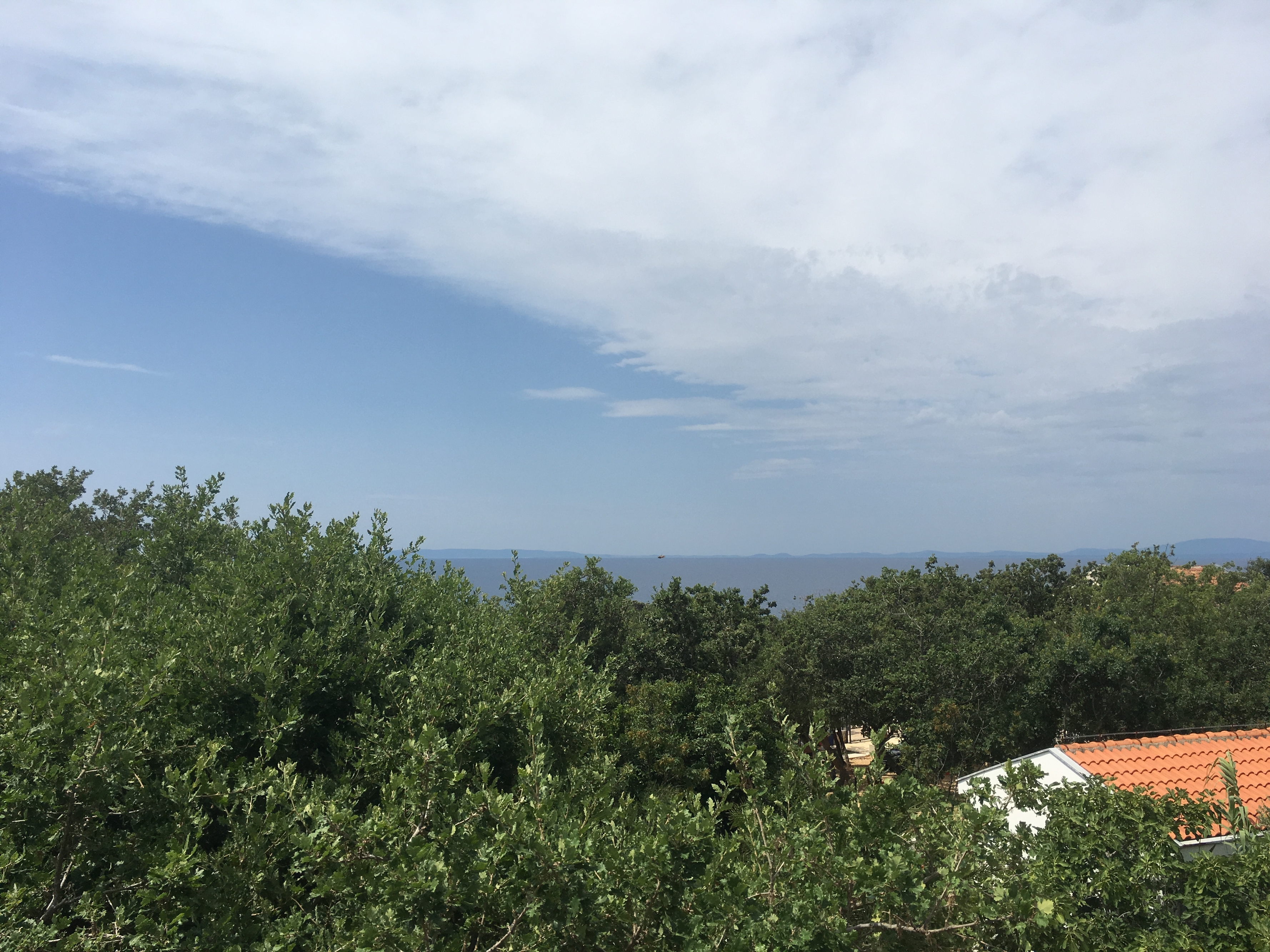 Top Pag Potočnica Top Pag Potočnica