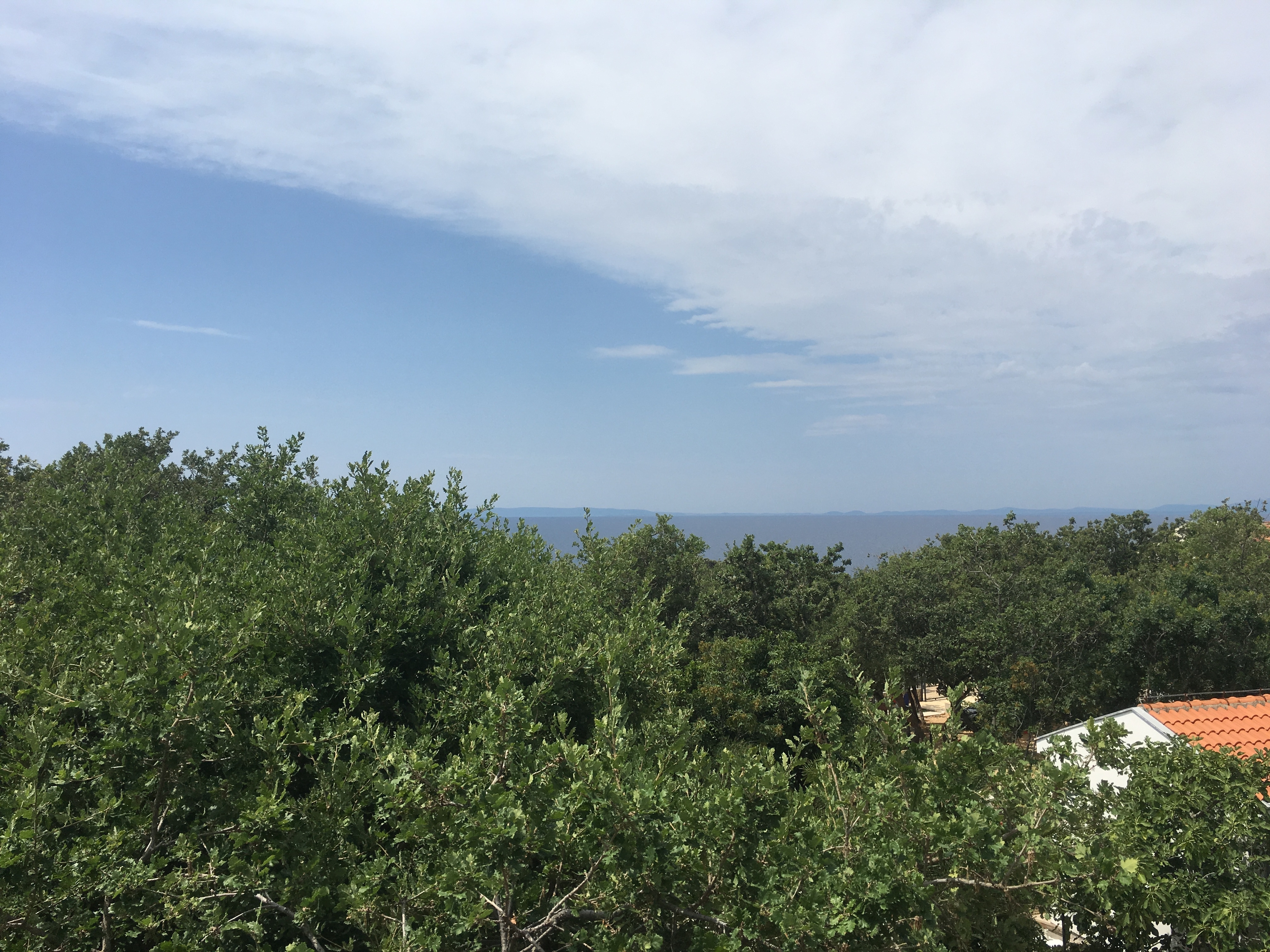 Top Pag Potočnica Top Pag Potočnica