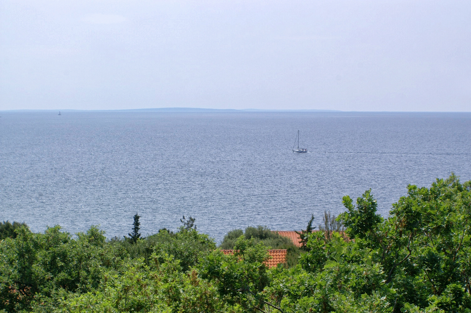 Top Pag Potočnica Top Pag Potočnica