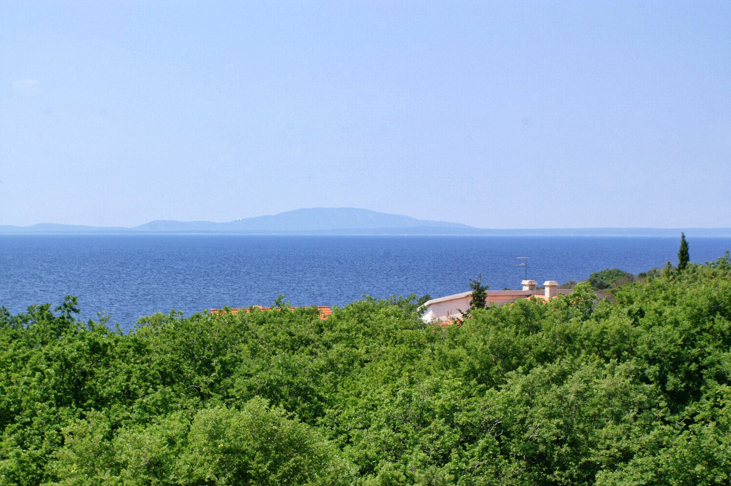 Top Pag Potočnica Top Pag Potočnica