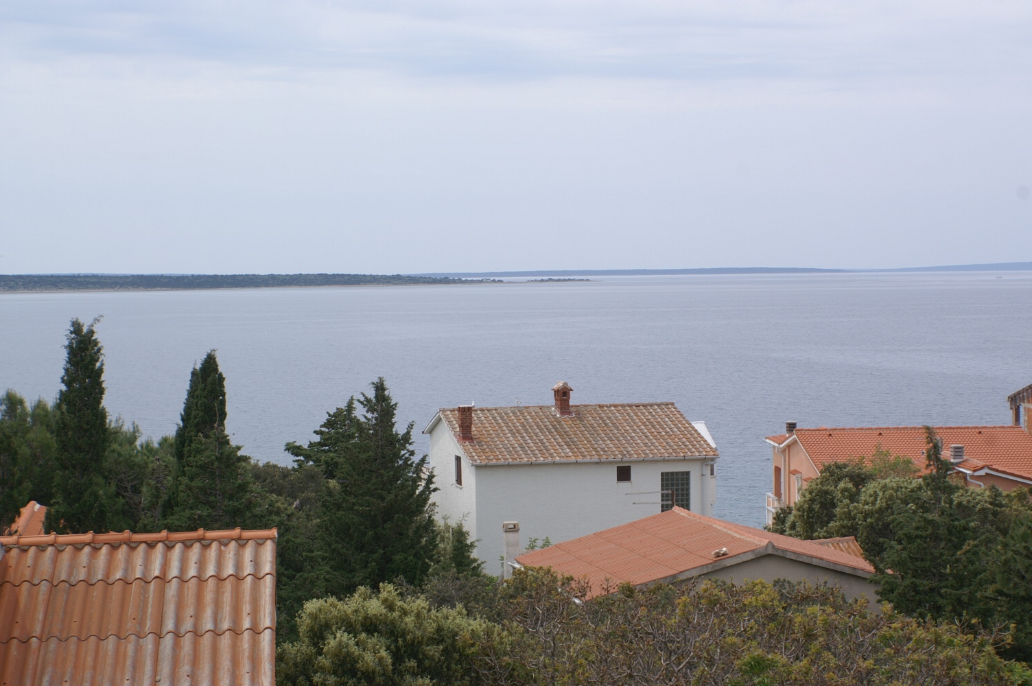 Top Pag Mandre Top Pag Mandre