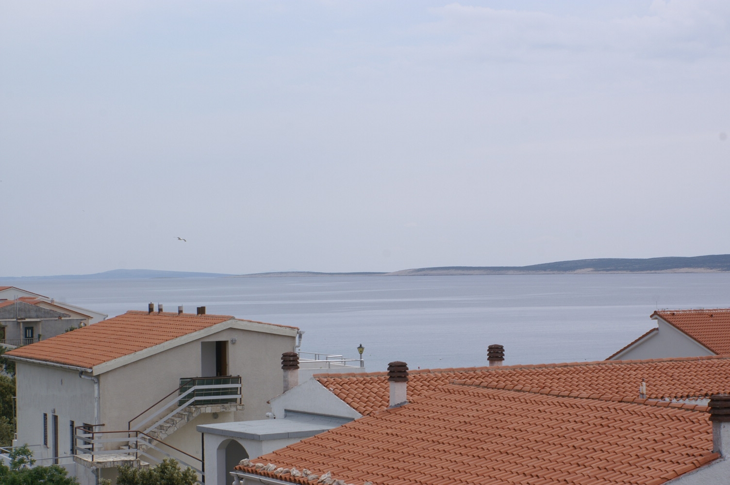 Top Pag Mandre Top Pag Mandre