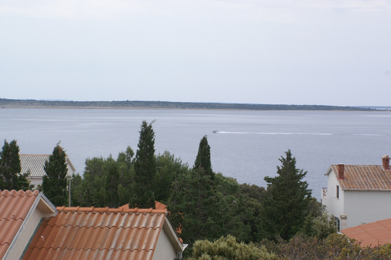 Top Pag Mandre Top Pag Mandre