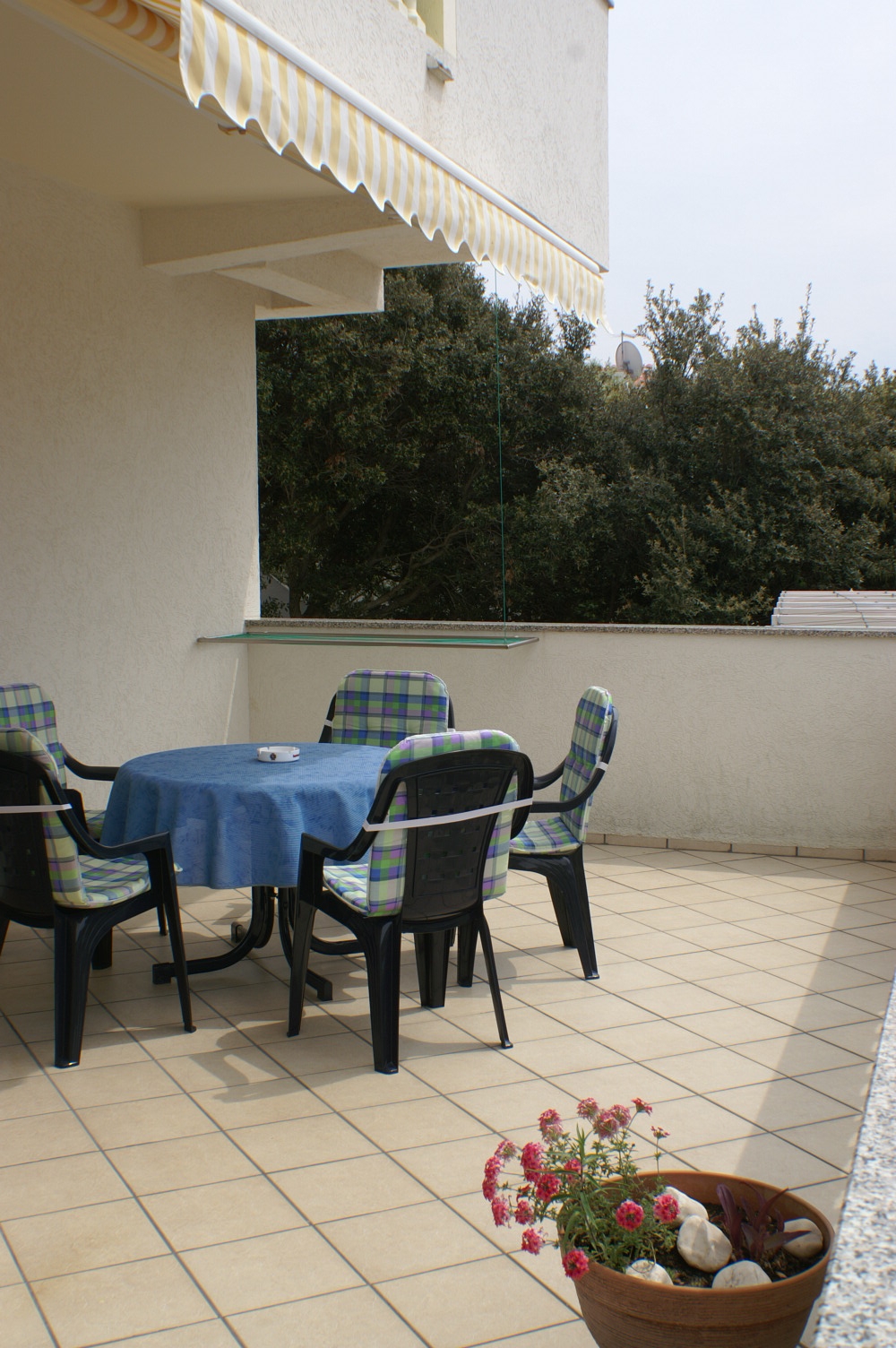 Top Pag Mandre Top Pag Mandre