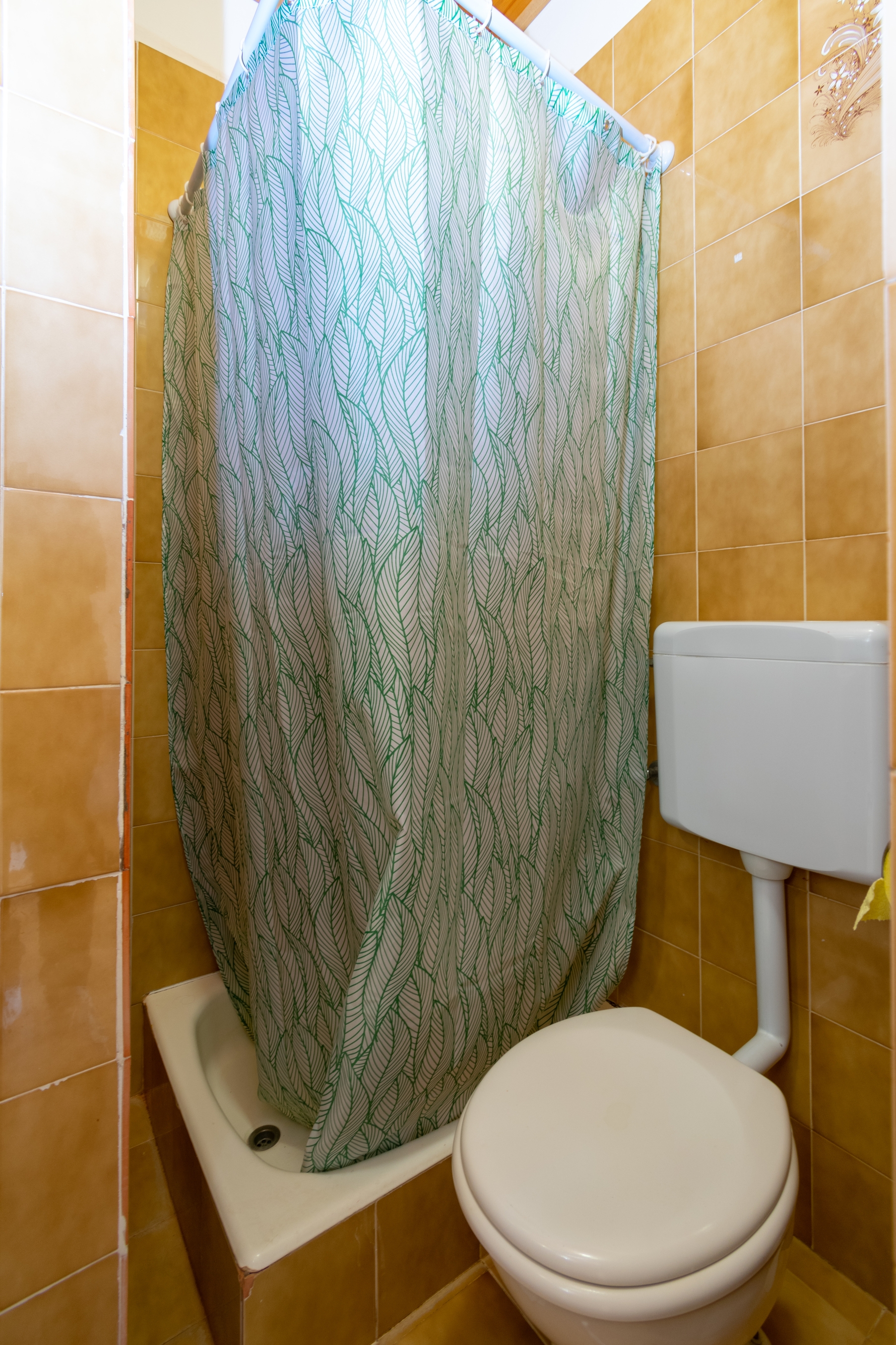 Top Pag Mandre Top Pag Mandre