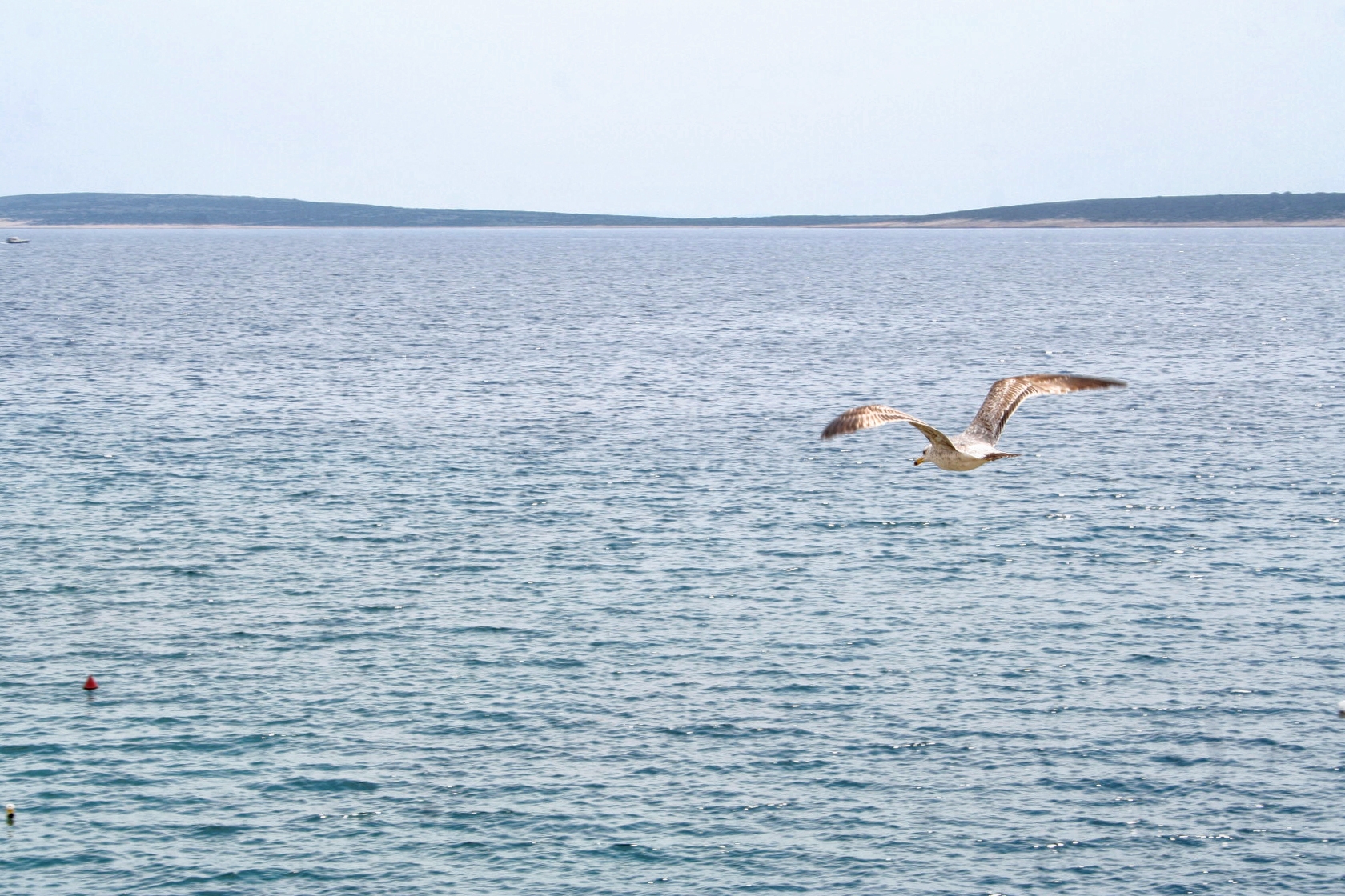 Top Pag Mandre Top Pag Mandre