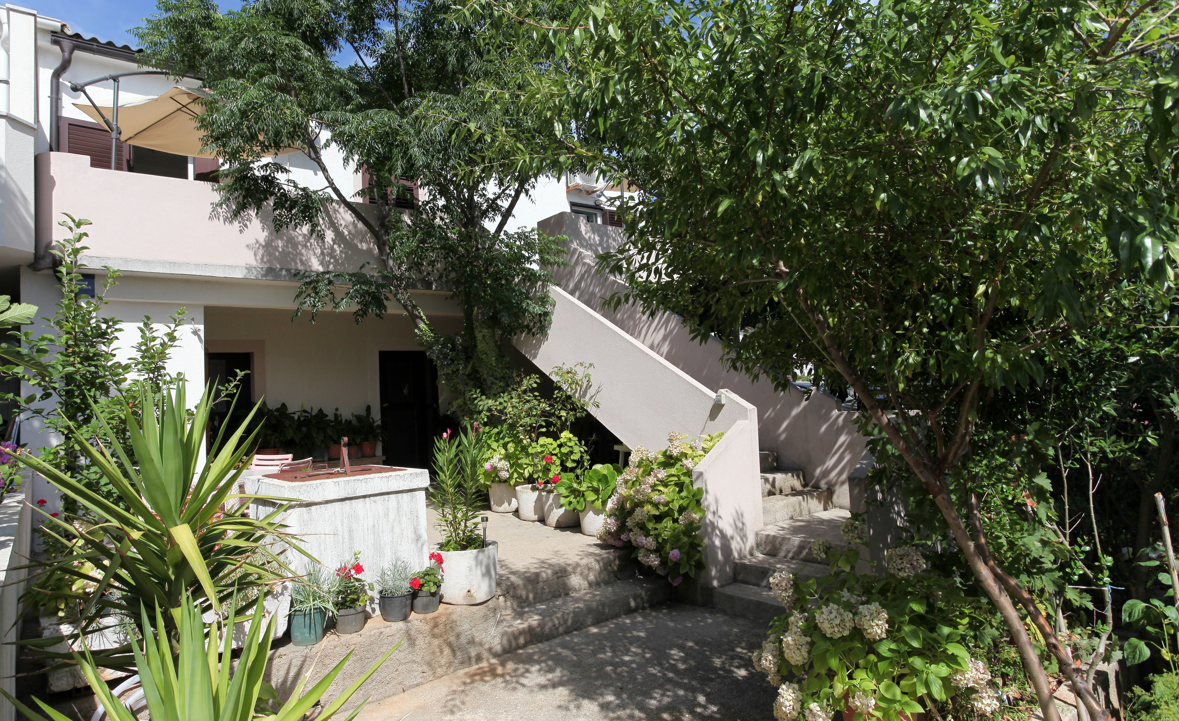 Top Pag Mandre Top Pag Mandre