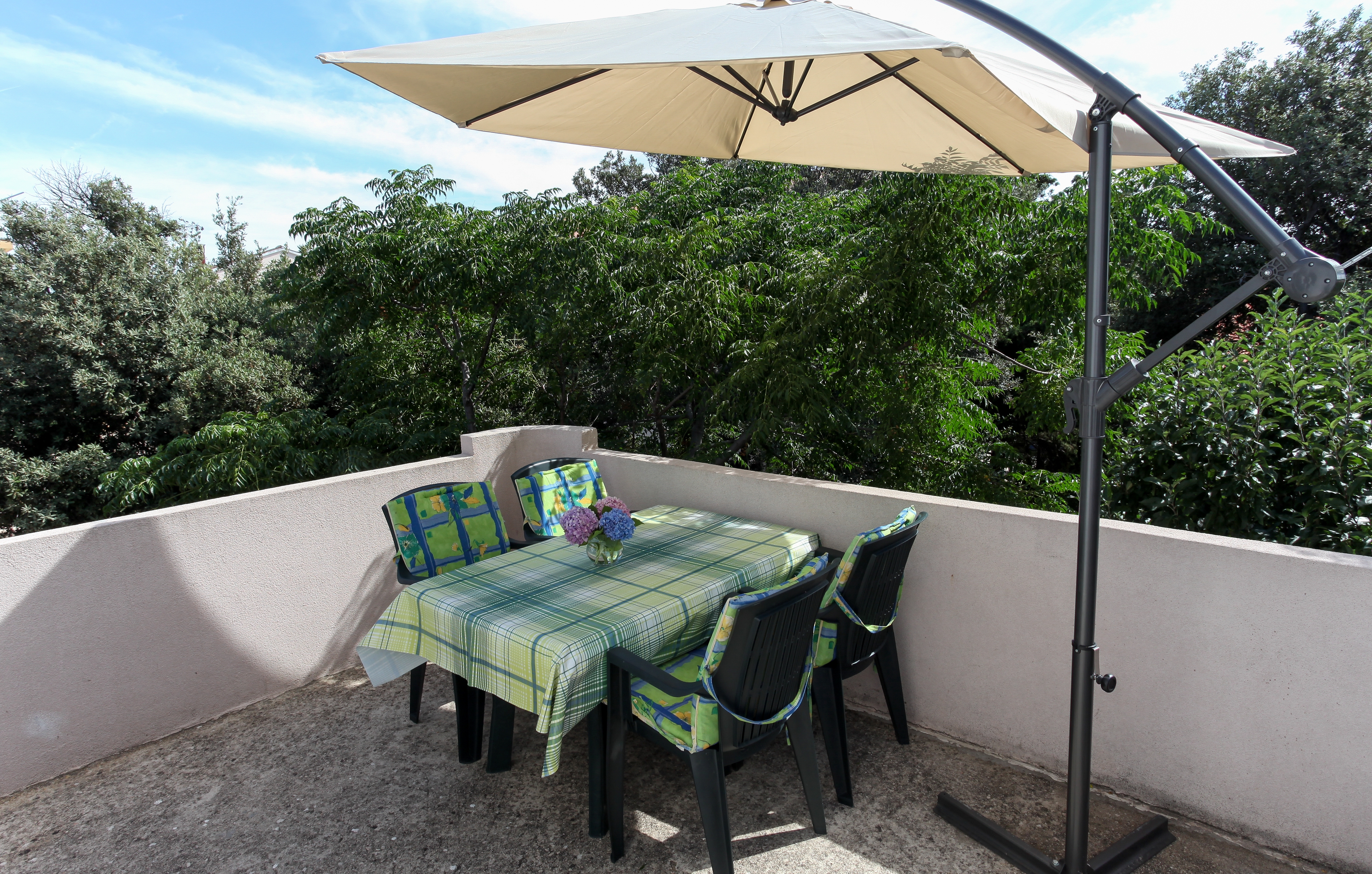 Top Pag Mandre Top Pag Mandre