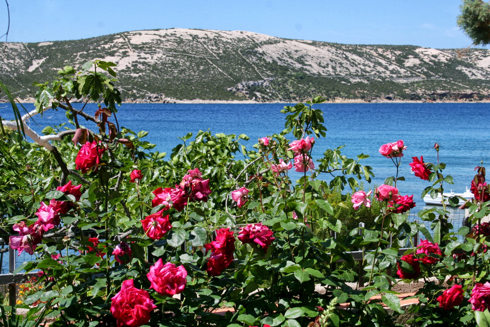 Two bedroom apartment near beach Stara Novalja, Pag (A-4106-e) Two bedroom apartment near beach Stara Novalja, Pag (A-4106-e)