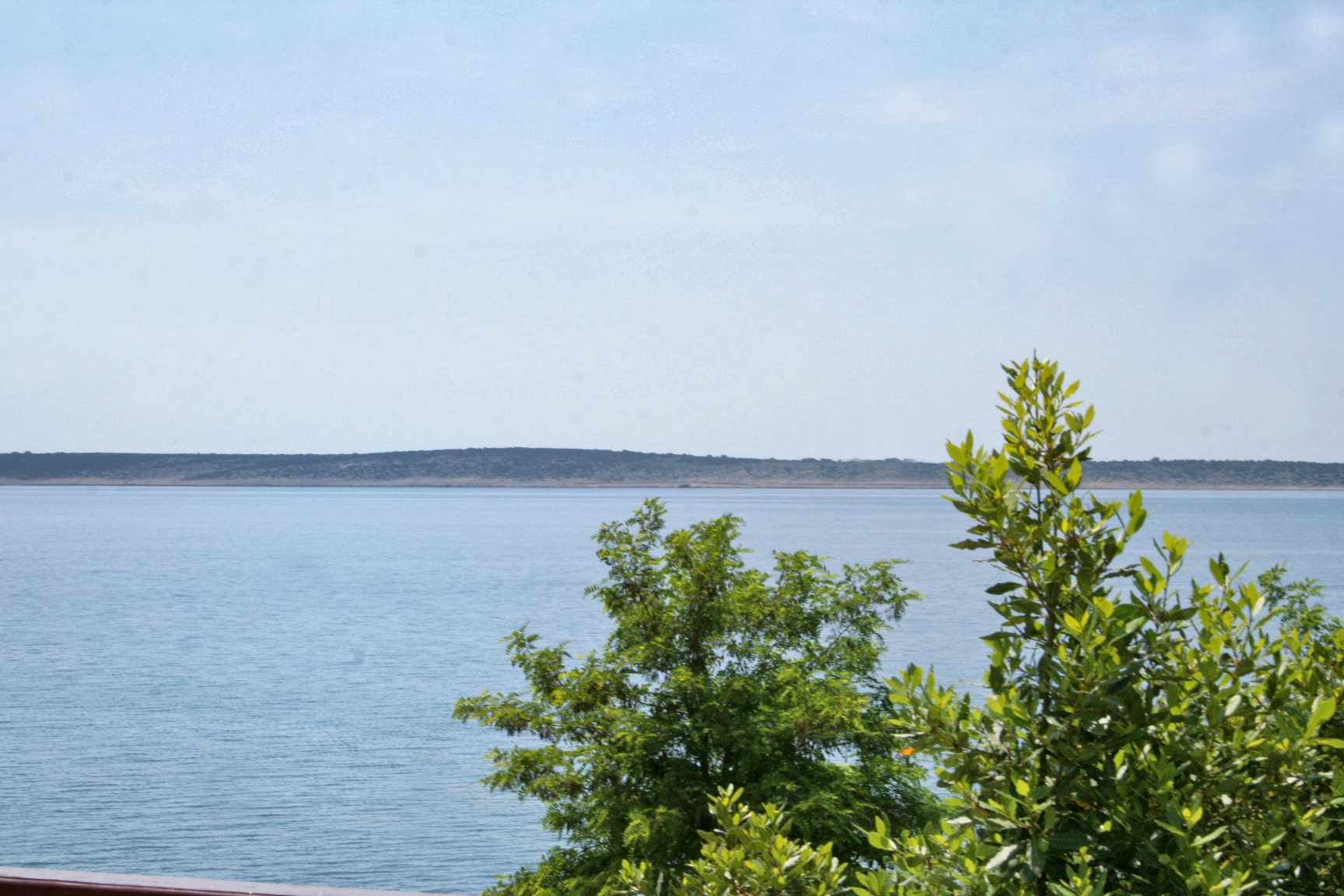 Top Pag Mandre Top Pag Mandre