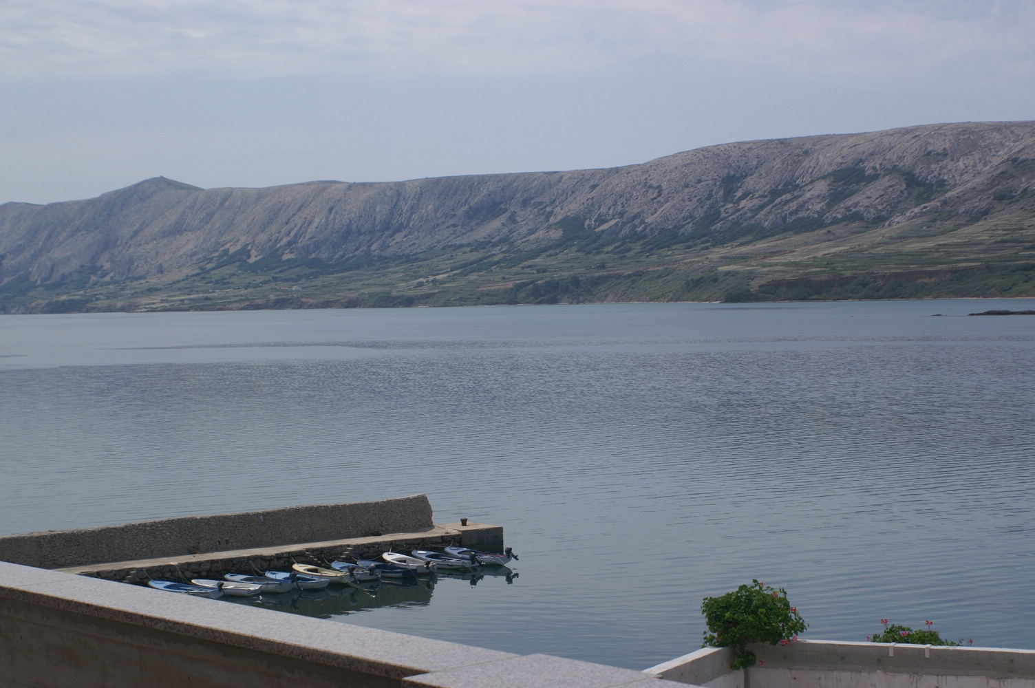 Top Pag Zubovići Top Pag Zubovići