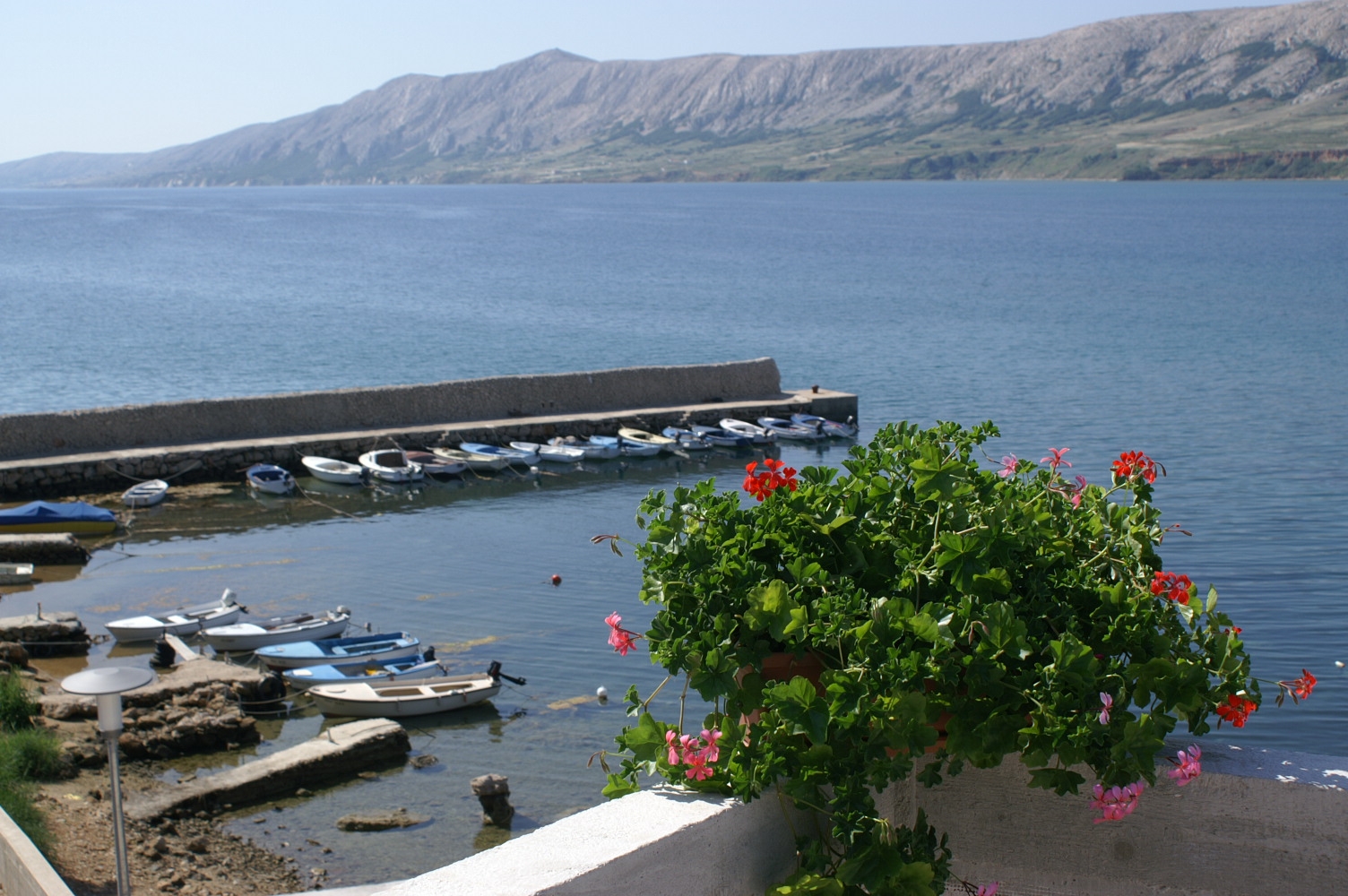 Top Pag Zubovići Top Pag Zubovići