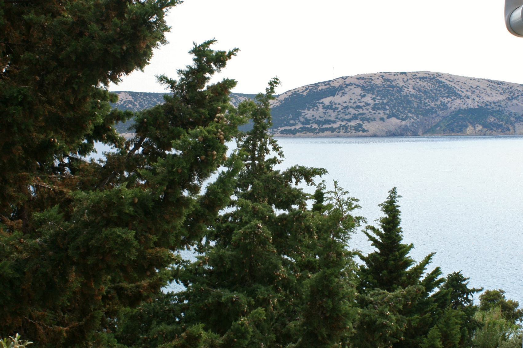 One bedroom apartment near beach Stara Novalja, Pag  A-e