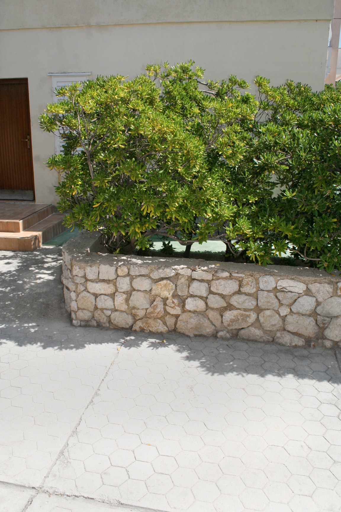 Studio flat with terrace Pag  AS-b