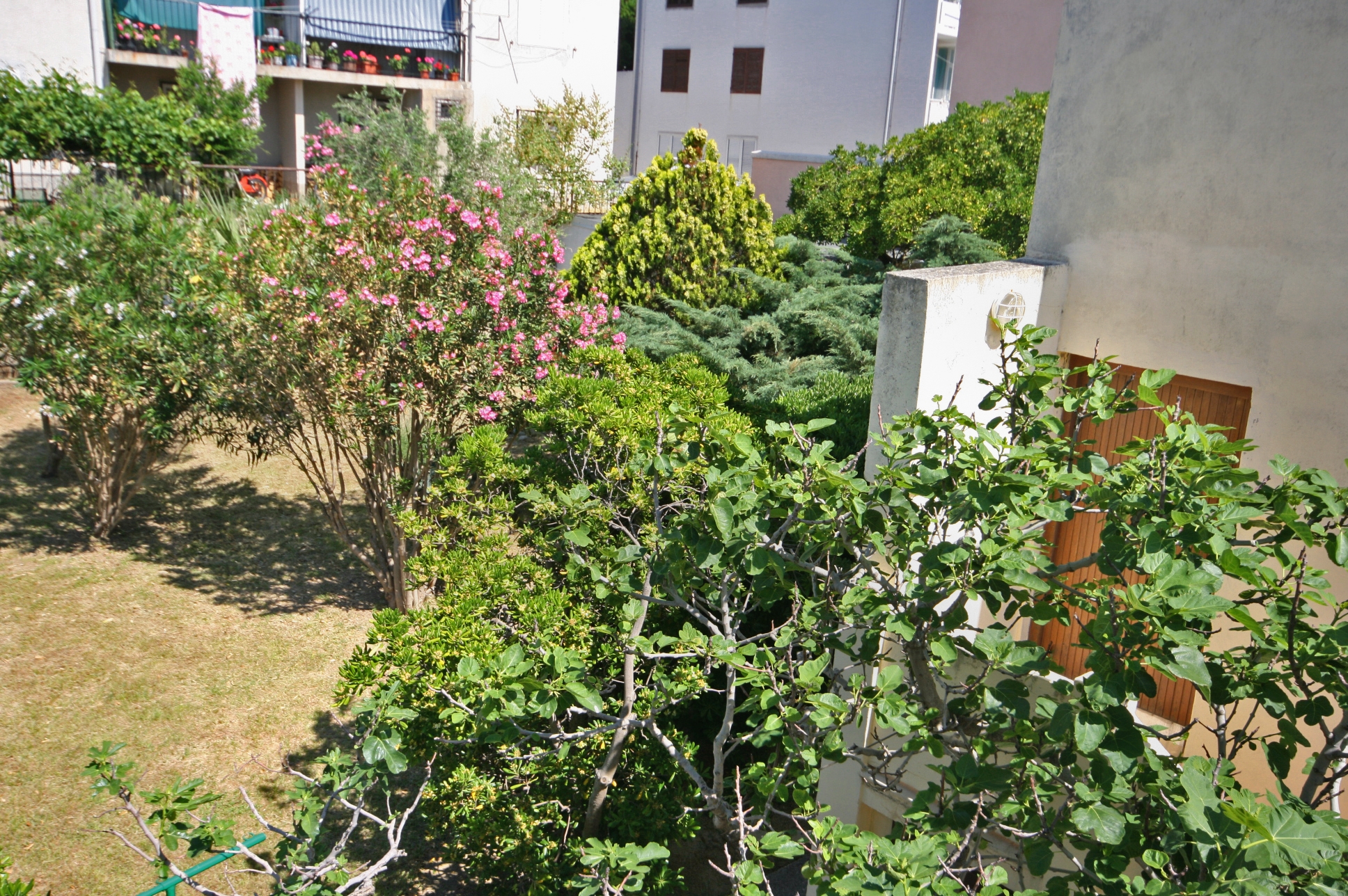 Studio flat with balcony Pag  AS-c