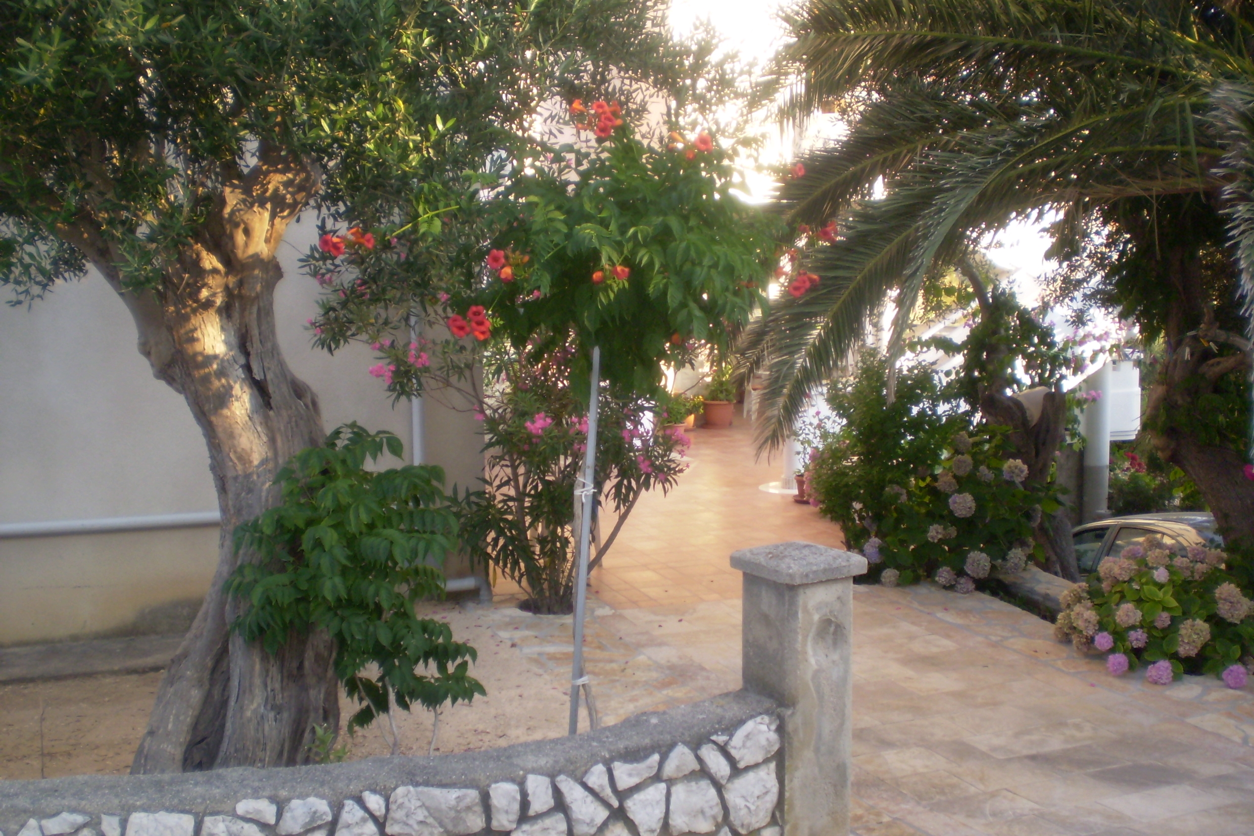 Top Pag Jakišnica Top Pag Jakišnica