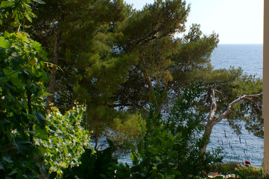 Top Primošten Bilo Top Primošten Bilo