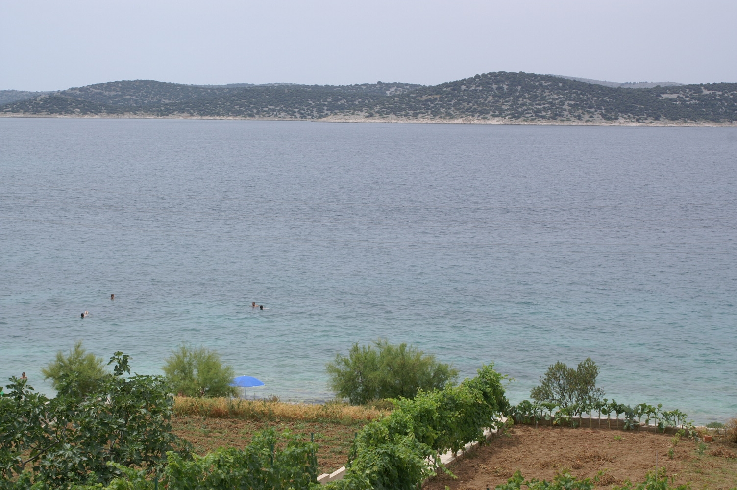 Jednosobni apartman uz plažu Šepurine, Prvić  A-a