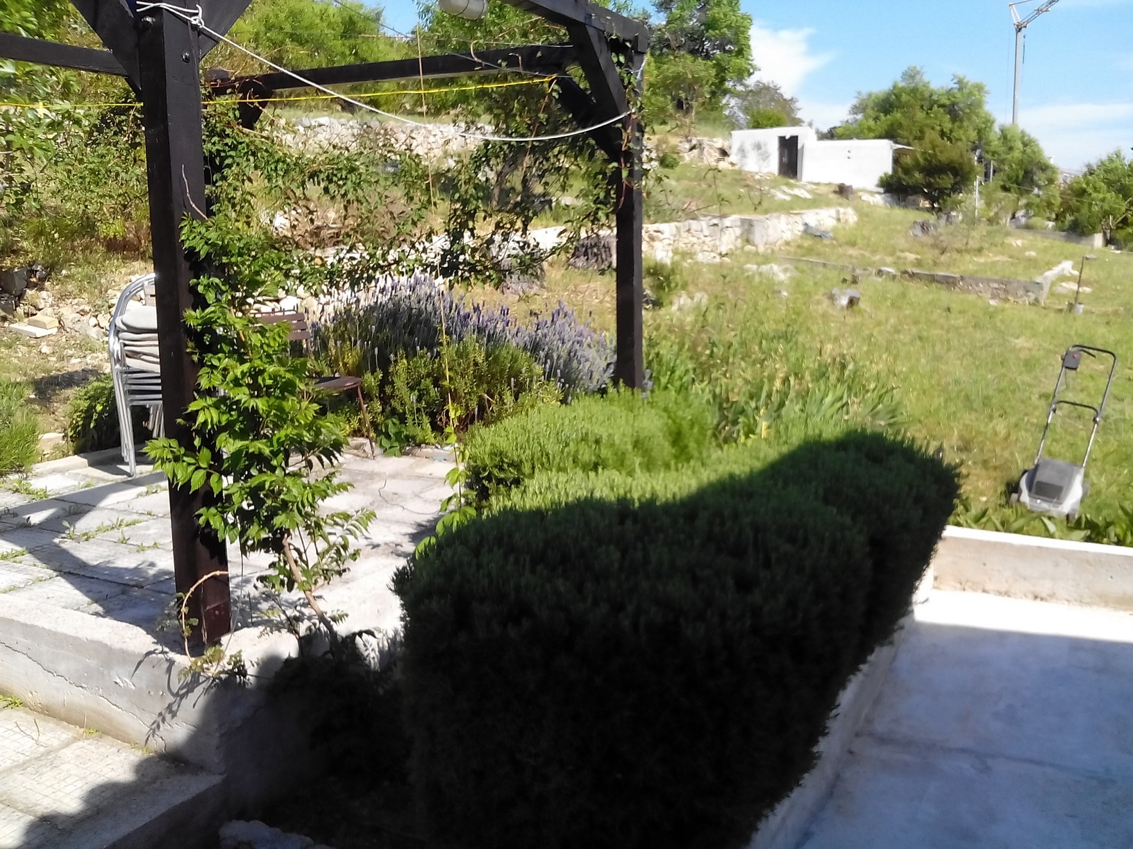 Jednosobni apartman uz plažu Šepurine, Prvić  A-a