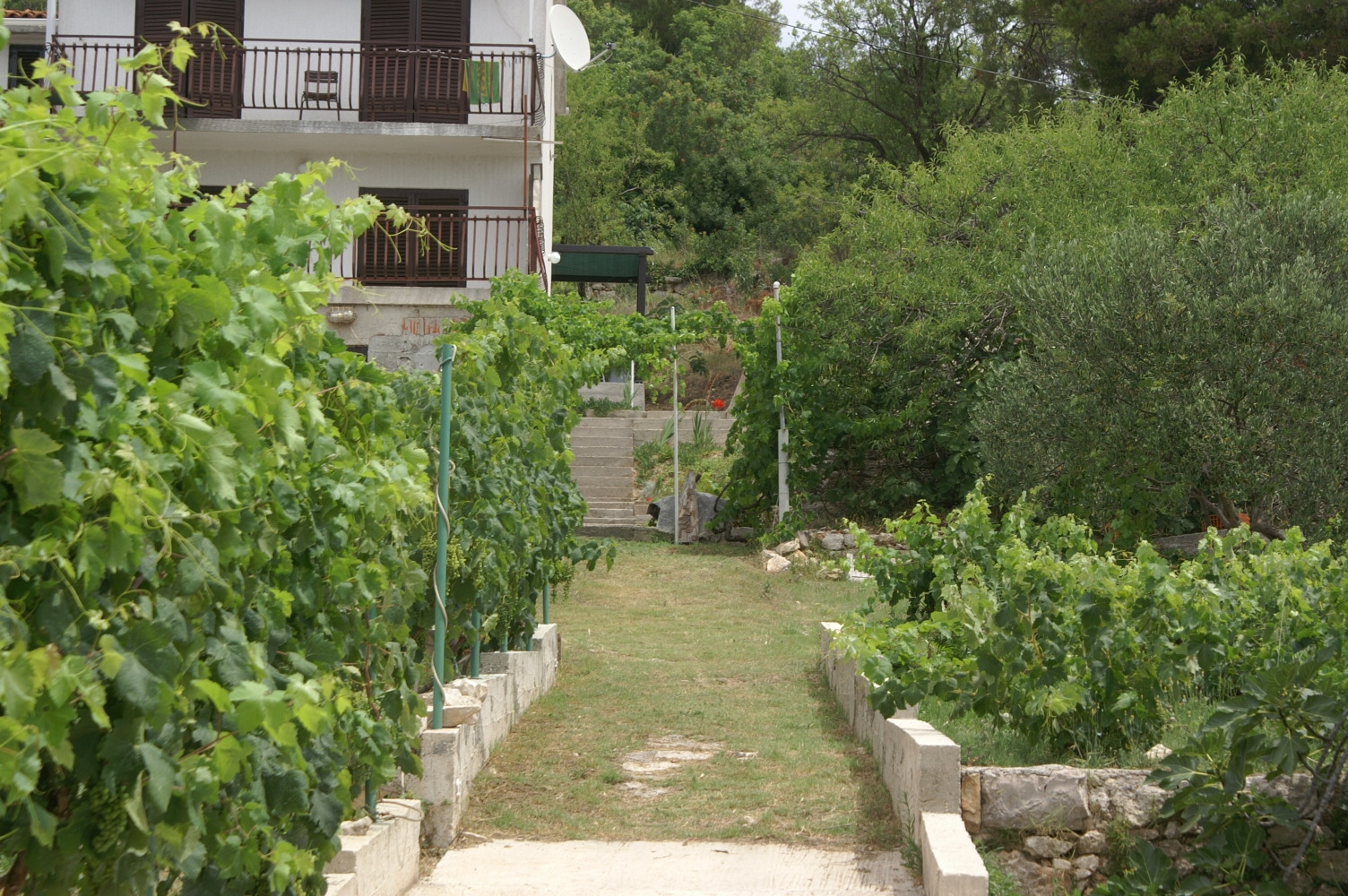 Jednosobni apartman uz plažu Šepurine, Prvić  A-a