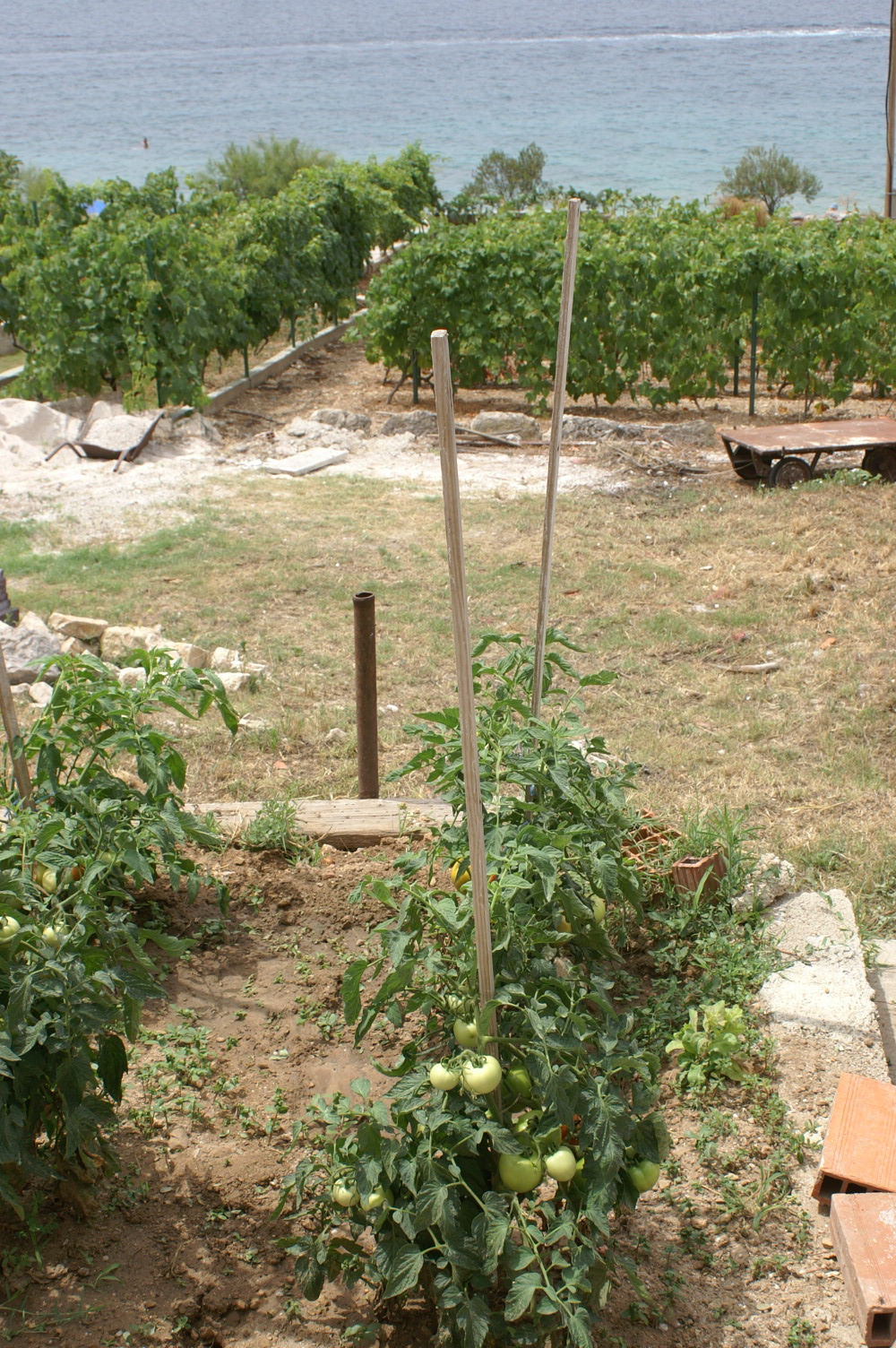 Jednosobni apartman uz plažu Šepurine, Prvić  A-a