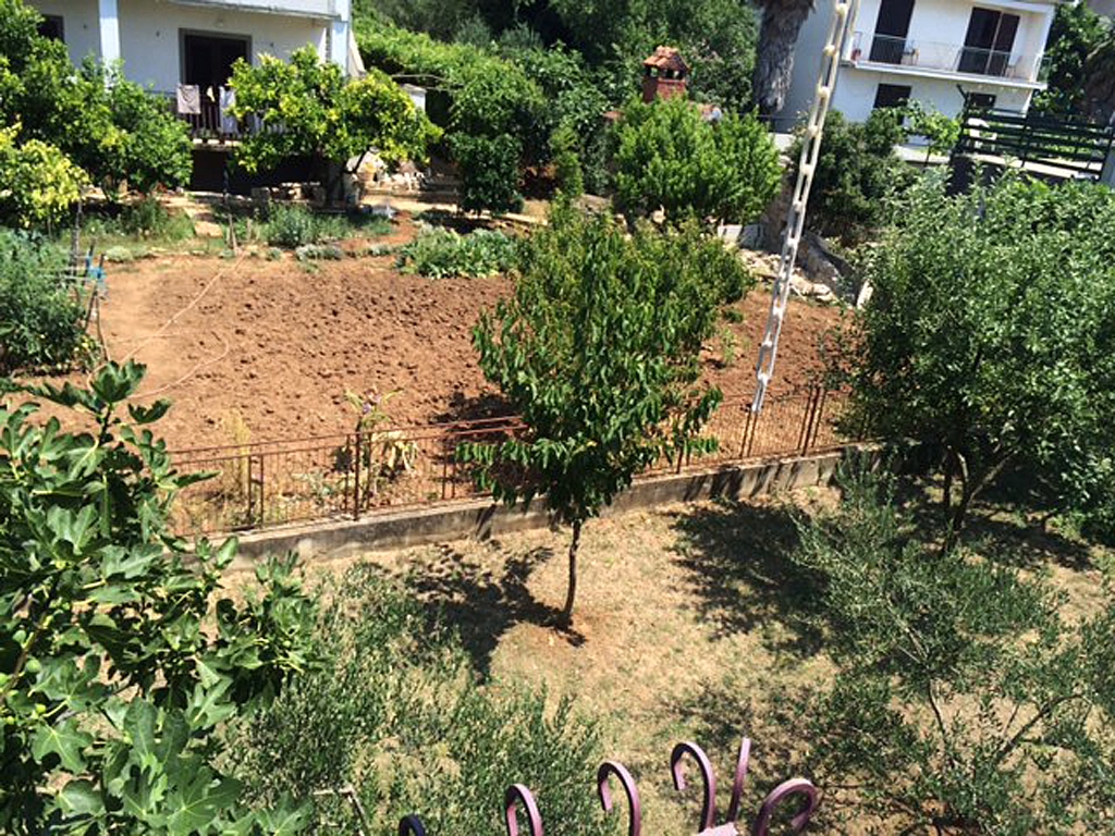 Three bedroom apartment with balcony and sea view Sveti Filip i Jakov, Biograd  A-a
