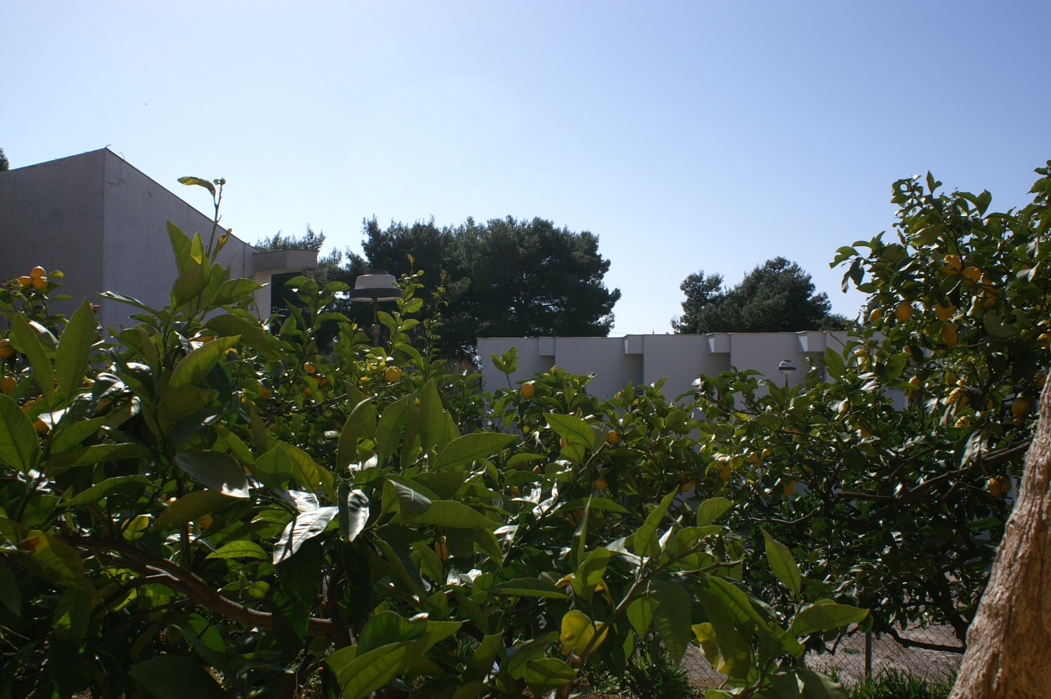 Three bedroom apartment with terrace Podgora, Makarska  A-a