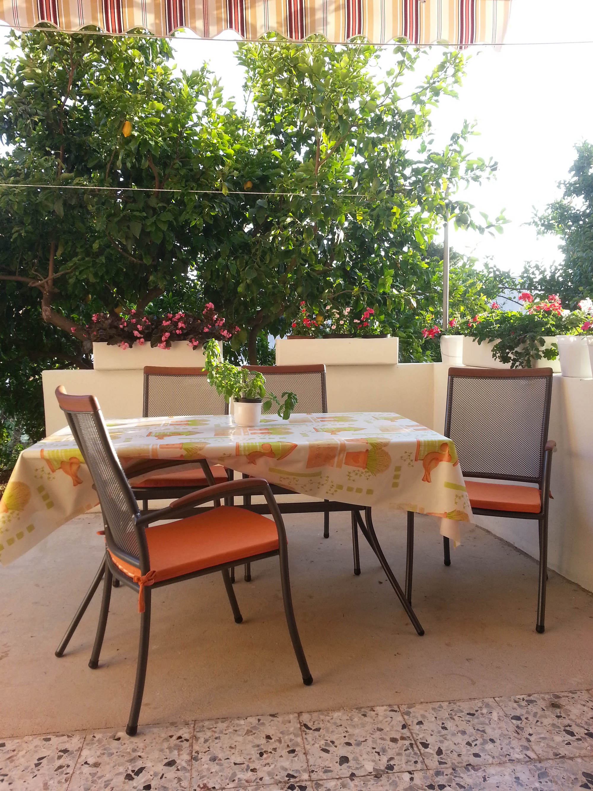 Top Makarska Podgora Top Makarska Podgora