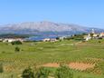 Lumbarda, Balcony - view in the apartment, (pet friendly) and WiFi.