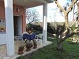 Veli Rat, Terrazzo nell'alloggi del tipo studio-apartment, animali domestici ammessi e WiFi.