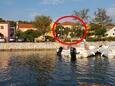 Cazare Veli Rat (Dugi otok) - 437