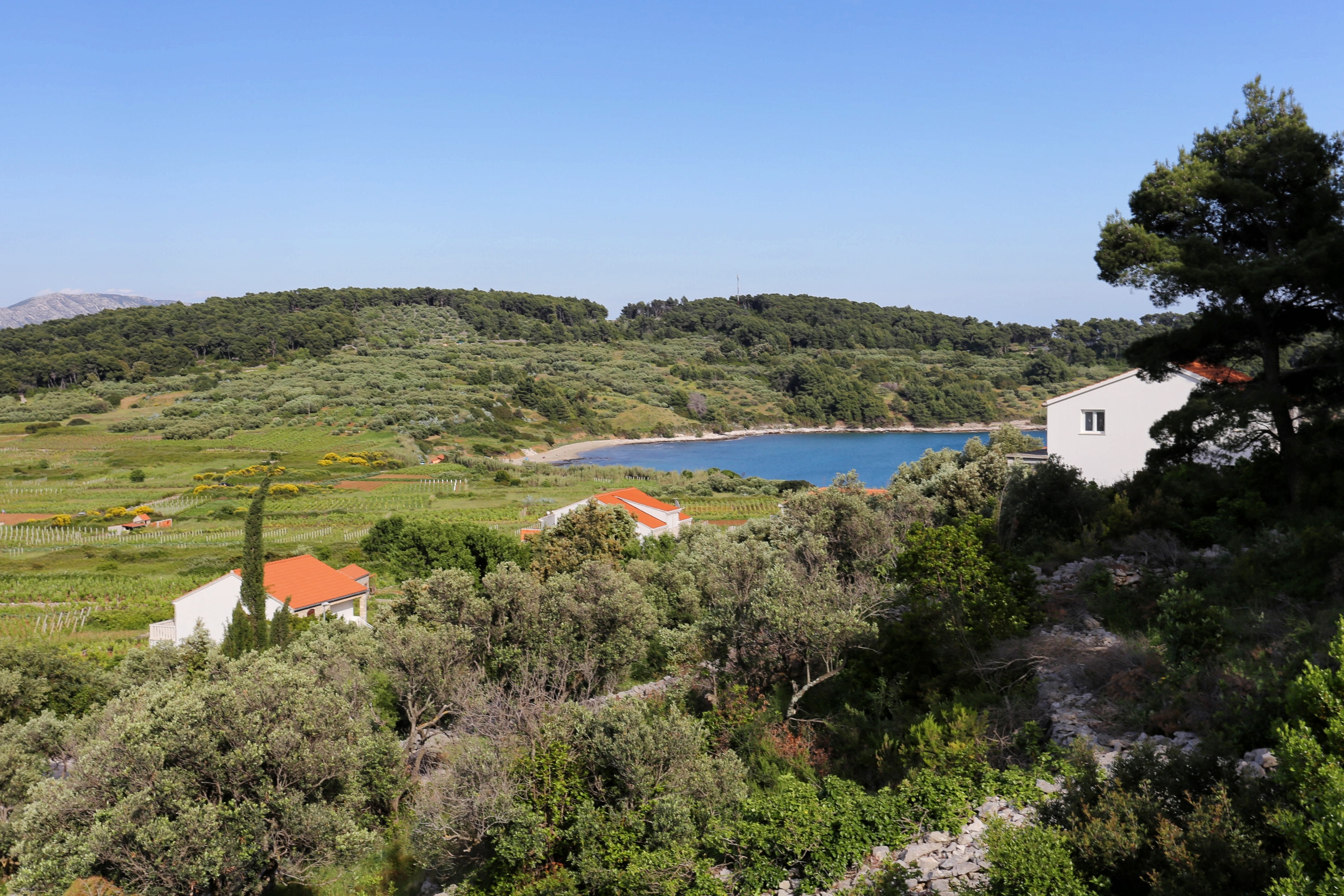 Two bedroom apartment with terrace and sea view Lumbarda, Korčula  A-a
