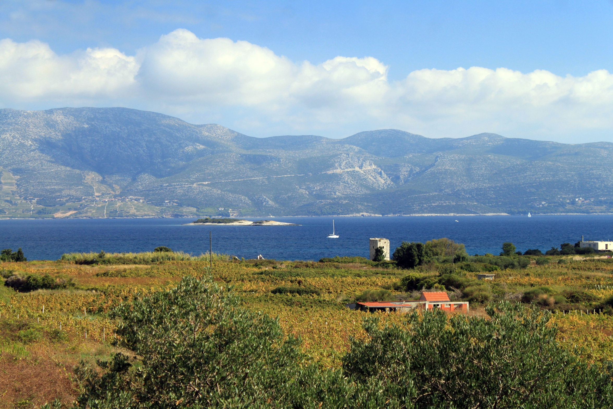Two bedroom apartment with terrace and sea view Lumbarda, Korčula  A-a