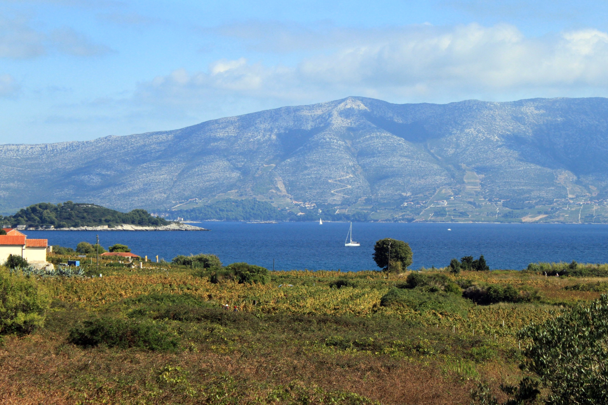 Two bedroom apartment with terrace and sea view Lumbarda, Korčula  A-a